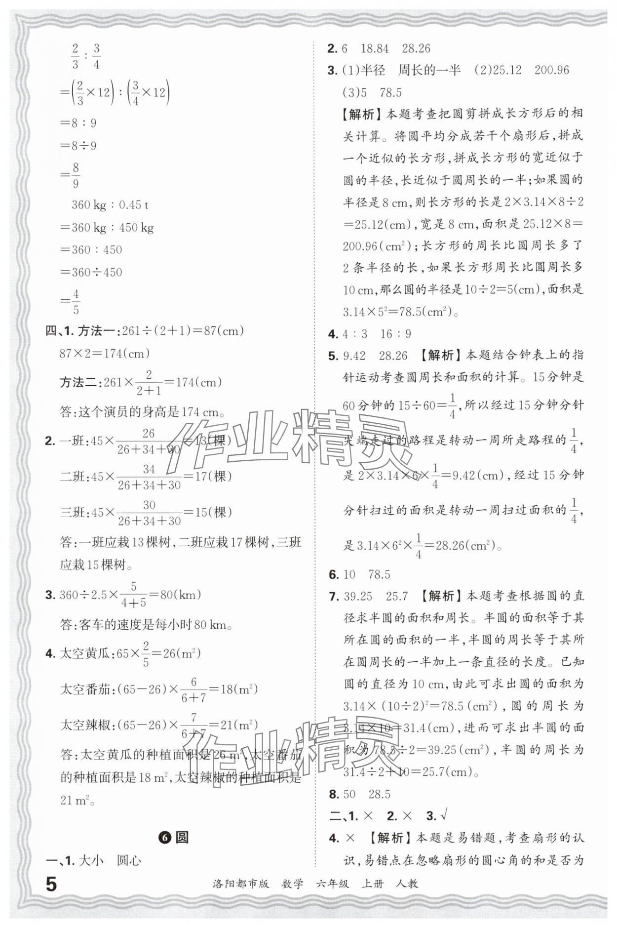 2024年王朝霞各地期末試卷精選六年級數(shù)學上冊人教版洛陽專版 參考答案第5頁