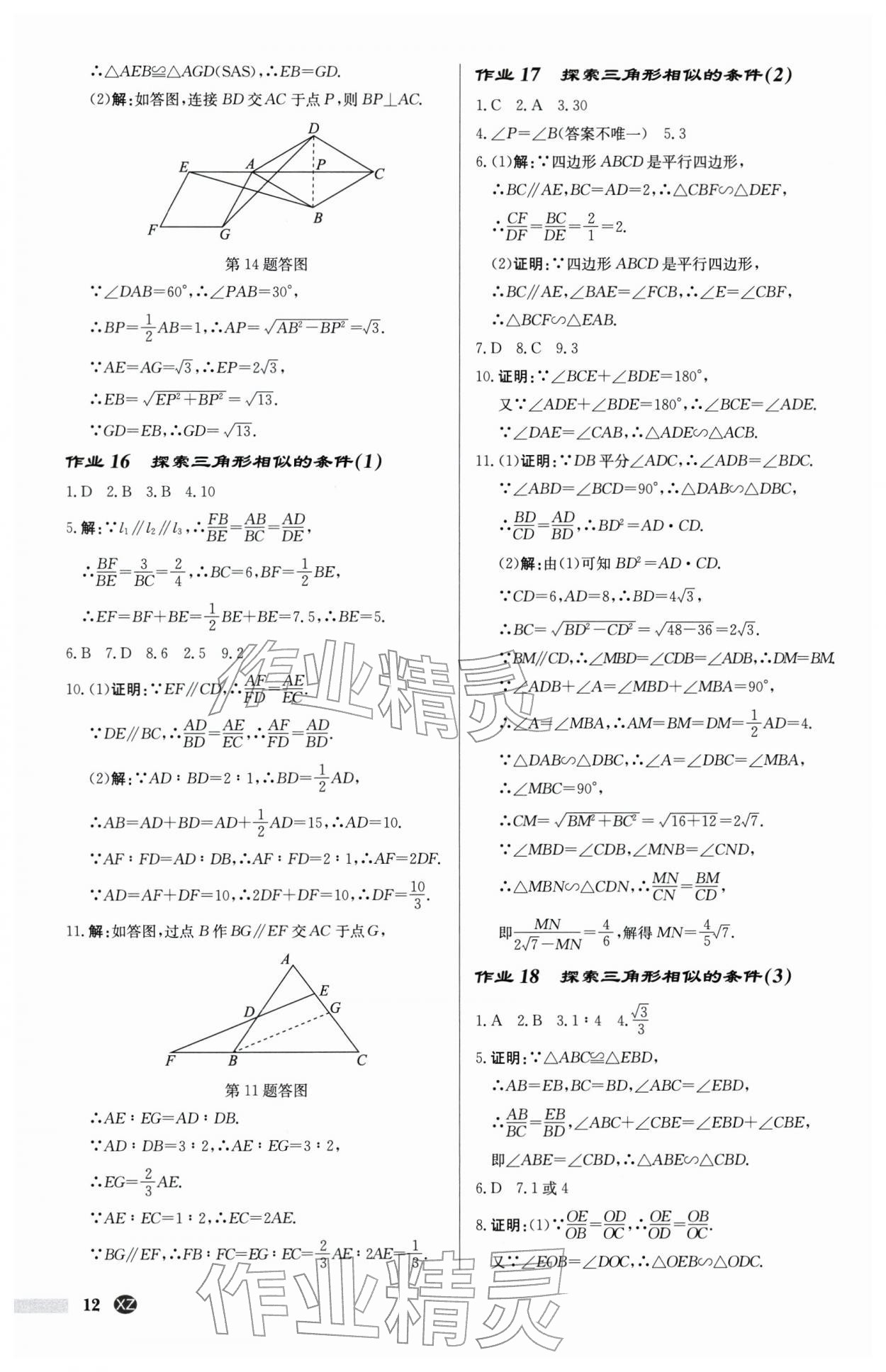 2026年启东中学作业本九年级数学下册苏科版徐州专版&nbsp;第12页