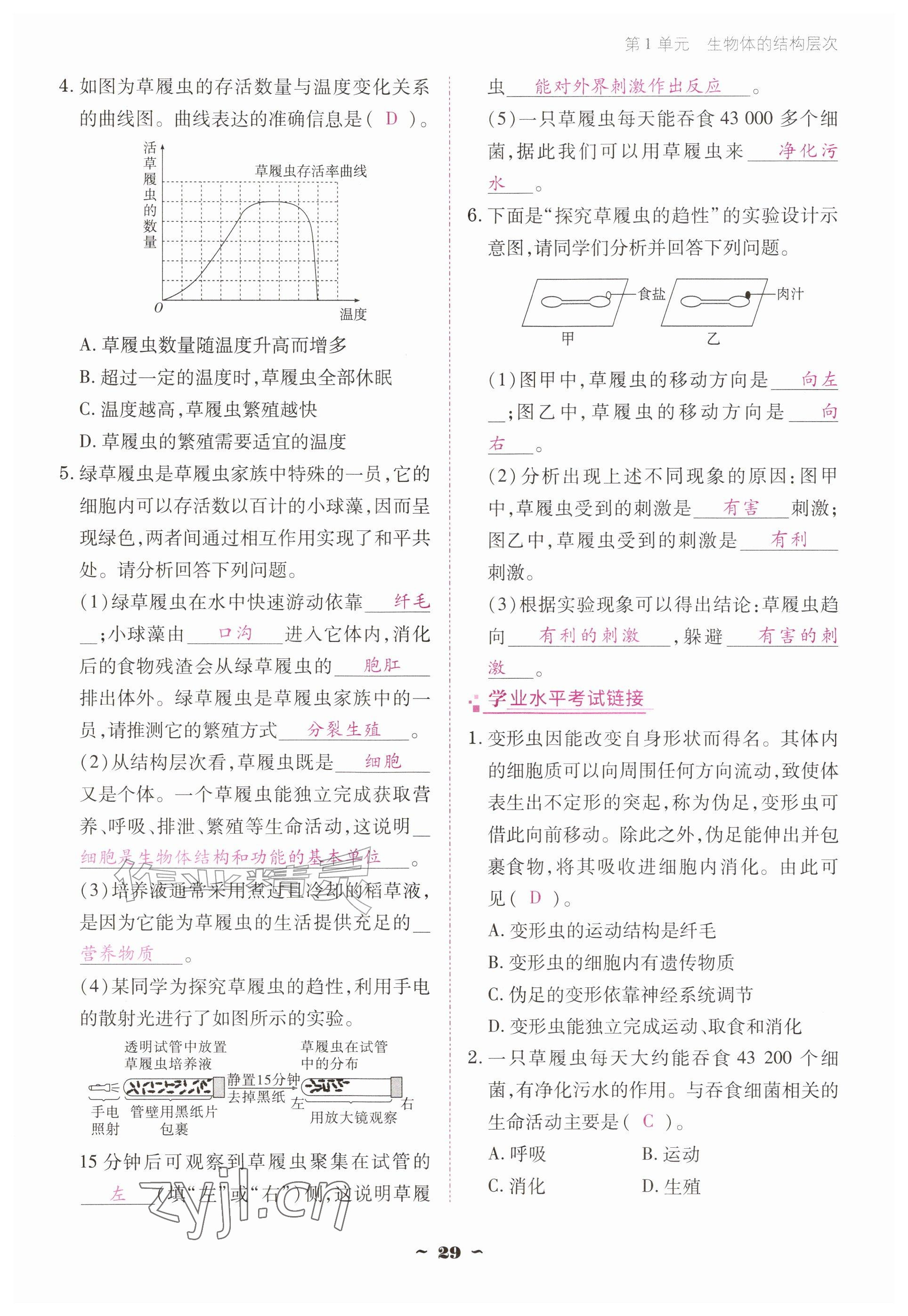 2026年云南省标准教辅优佳学案七年级历史上册人教版&nbsp;参考答案第29页