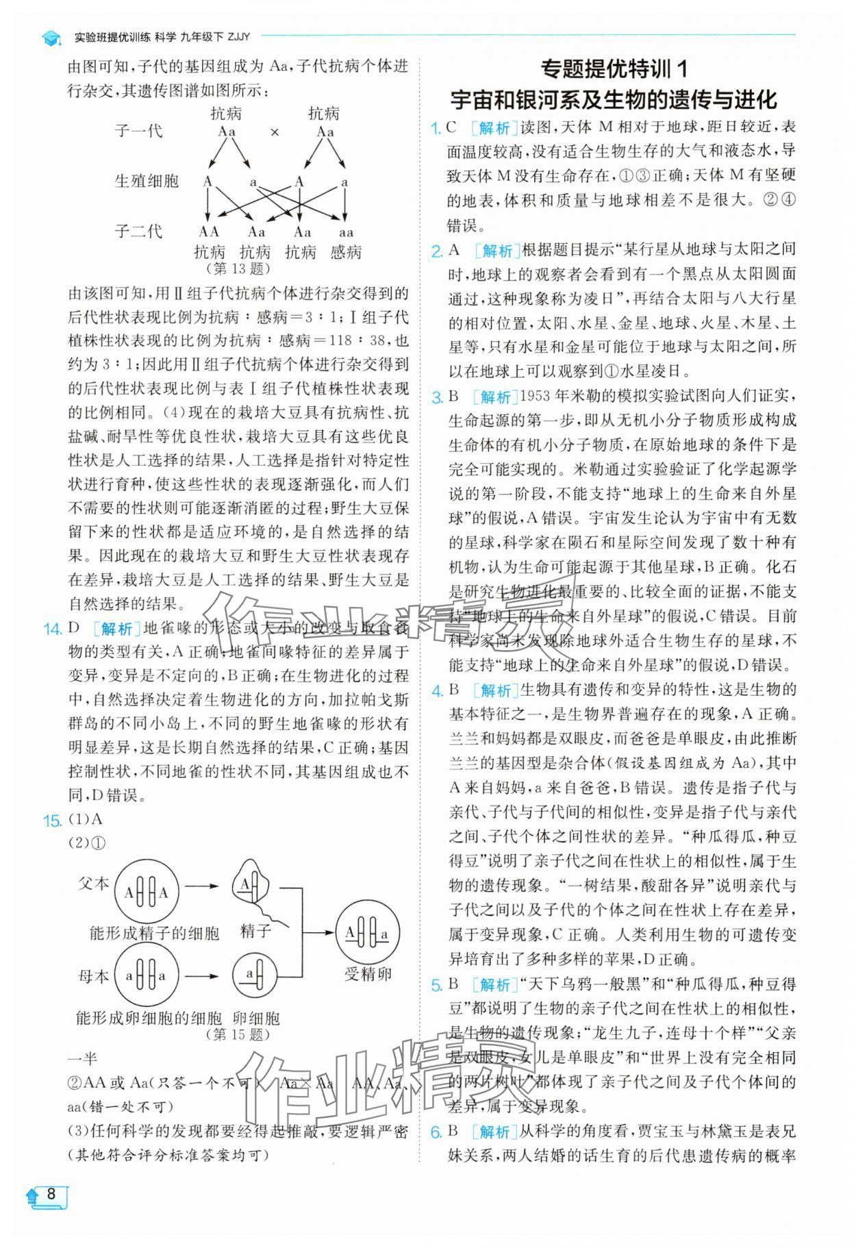 2025年實驗班提優(yōu)訓(xùn)練九年級科學(xué)下冊浙教版 參考答案第8頁