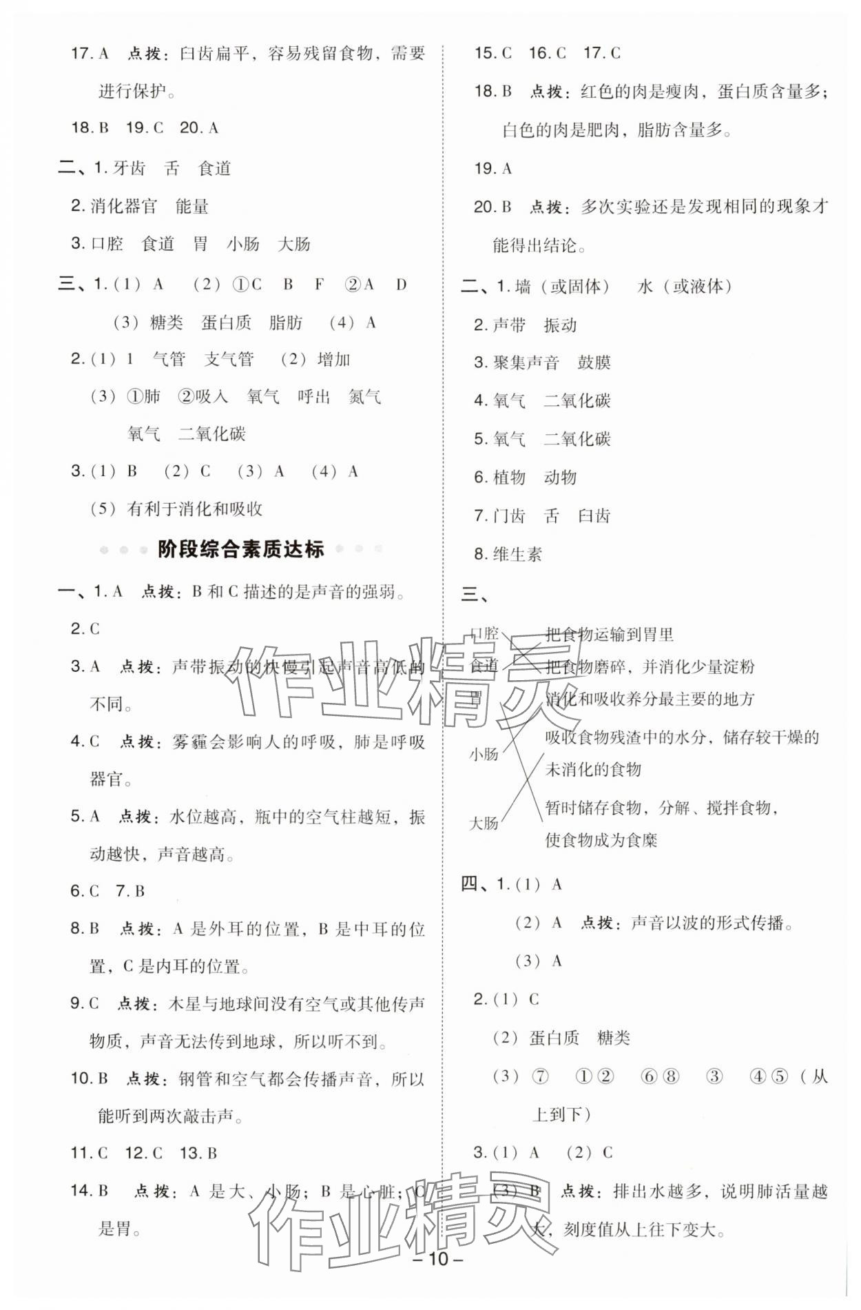 2024年綜合應用創(chuàng)新題典中點四年級科學上冊教科版 參考答案第10頁