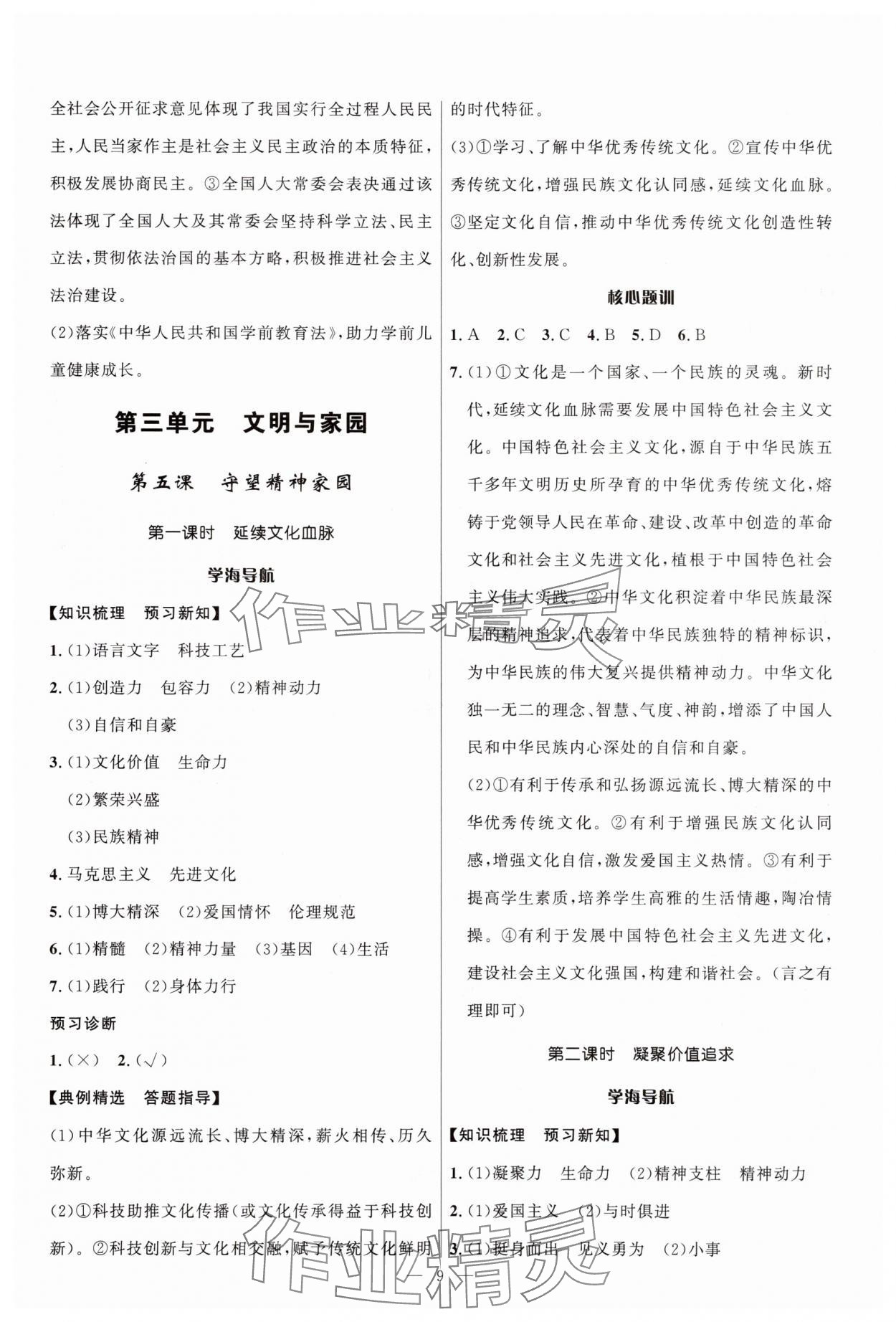 2025年頂尖課課練九年級道德與法治全一冊人教版貴州專版 第9頁