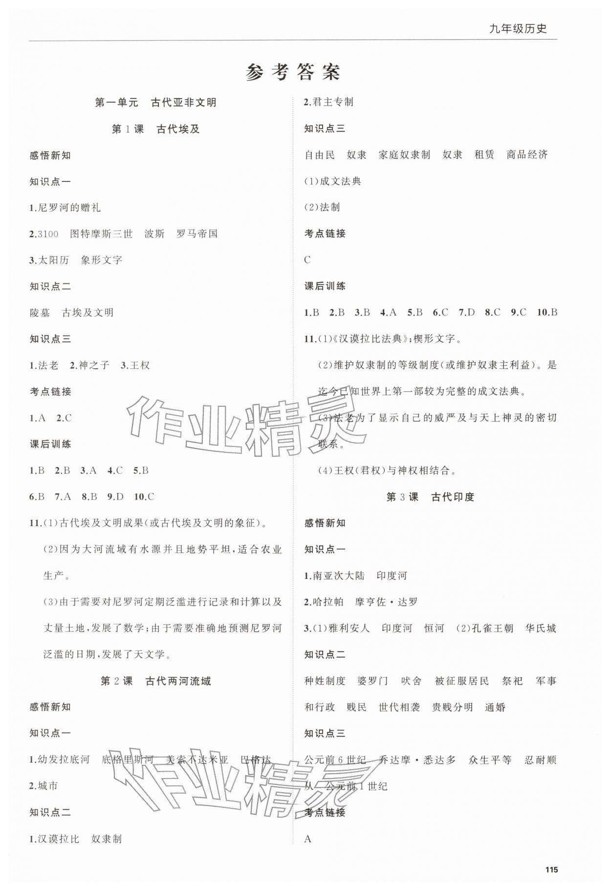 2025年高效通教材精析精练九年级历史上册人教版 第1页