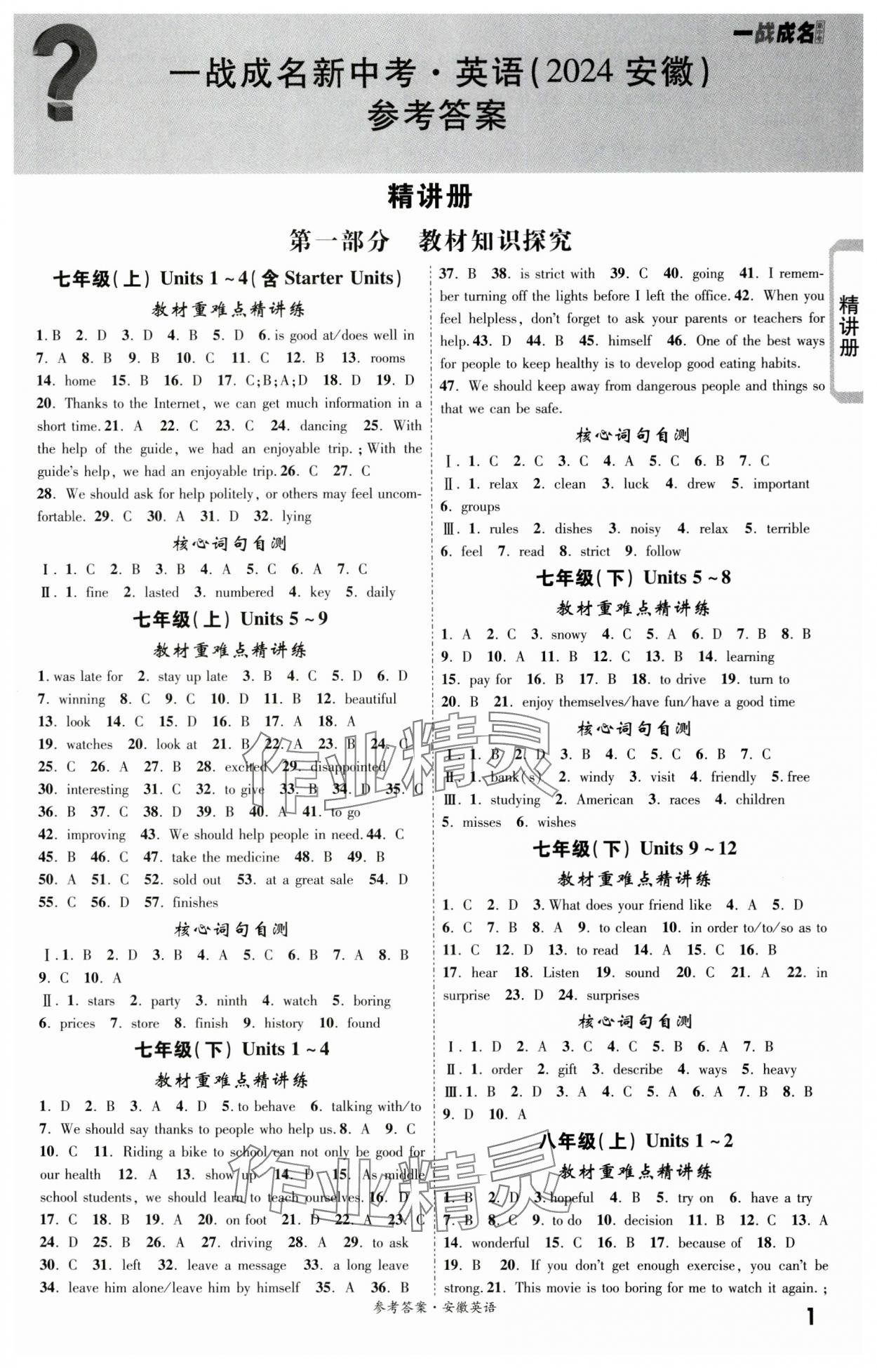 2024年一戰(zhàn)成名考前新方案九年級英語全一冊人教版安徽專版 第1頁