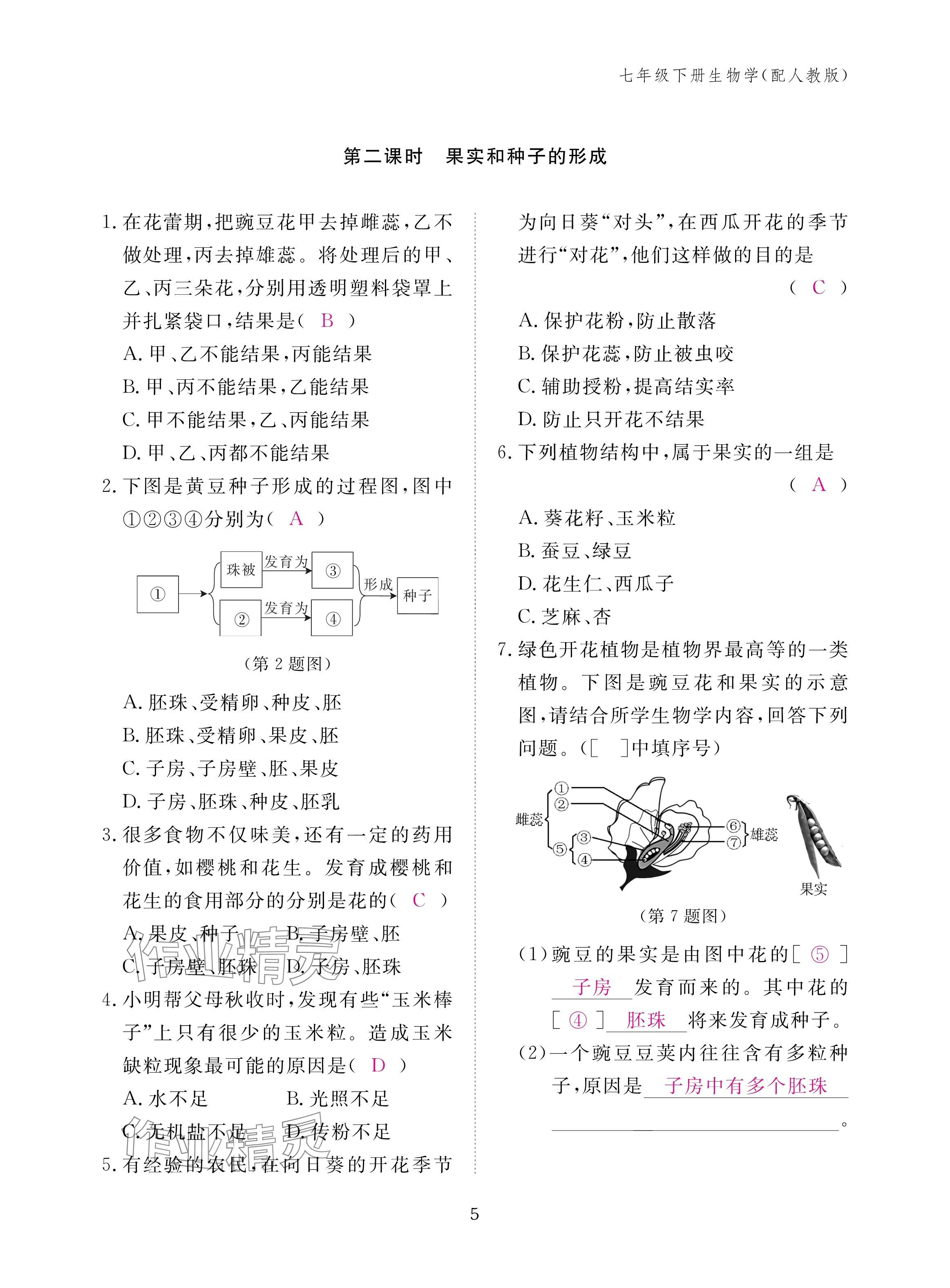2025年作業本江西教育出版社七年級生物下冊人教版&nbsp;參考答案第5頁