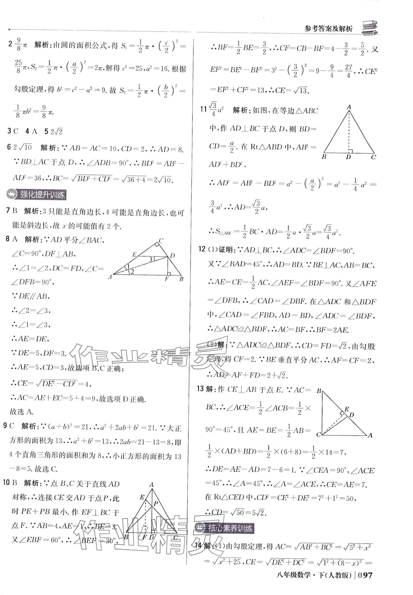 2024年1加1輕巧奪冠優(yōu)化訓(xùn)練八年級數(shù)學(xué)下冊人教版 第10頁