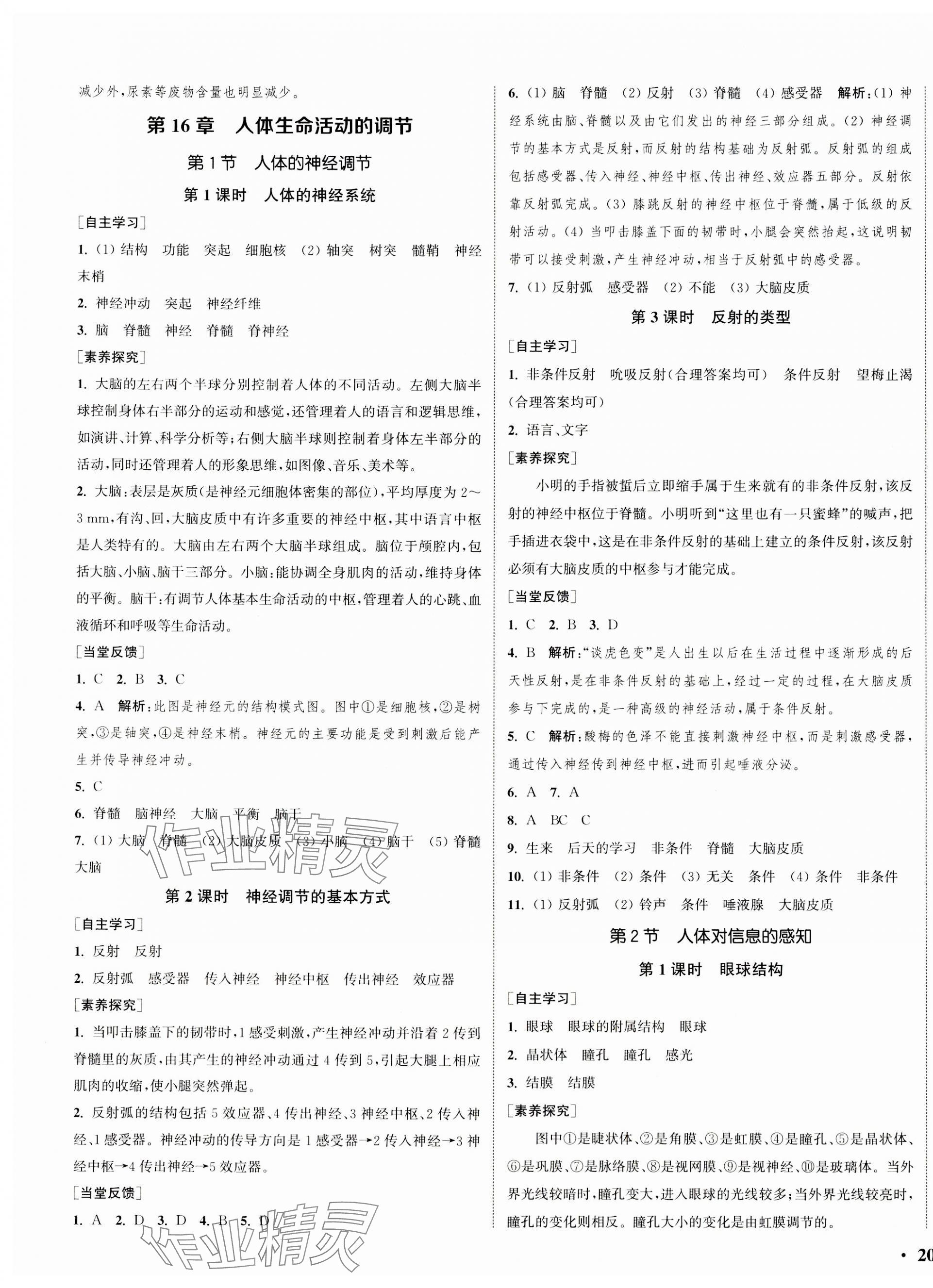 2023年通城學(xué)典活頁(yè)檢測(cè)八年級(jí)生物上冊(cè)蘇科版 第3頁(yè)