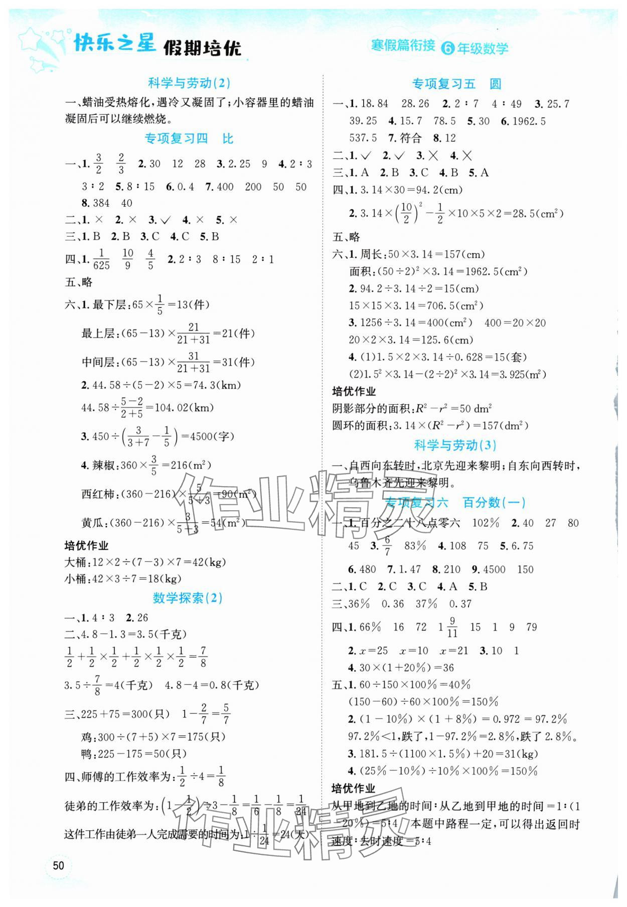 2025年假期培优武汉大学出版社六年级数学人教版 第2页