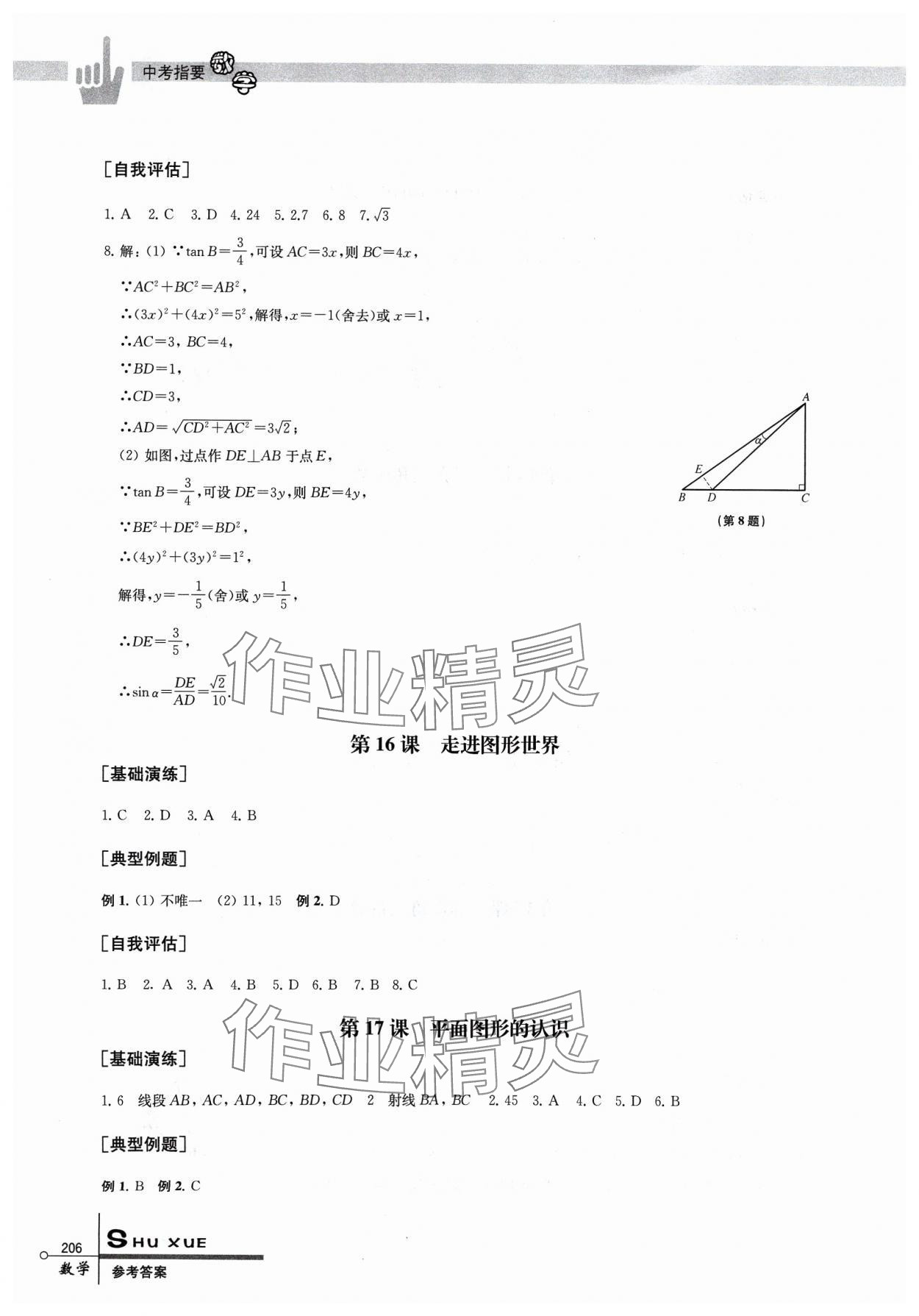 2024年中考指要数学 第10页