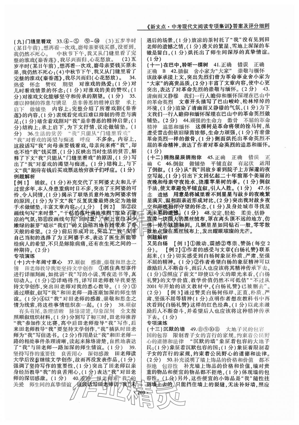 2024年新支點中考現(xiàn)代文閱讀專項集訓語文 第3頁