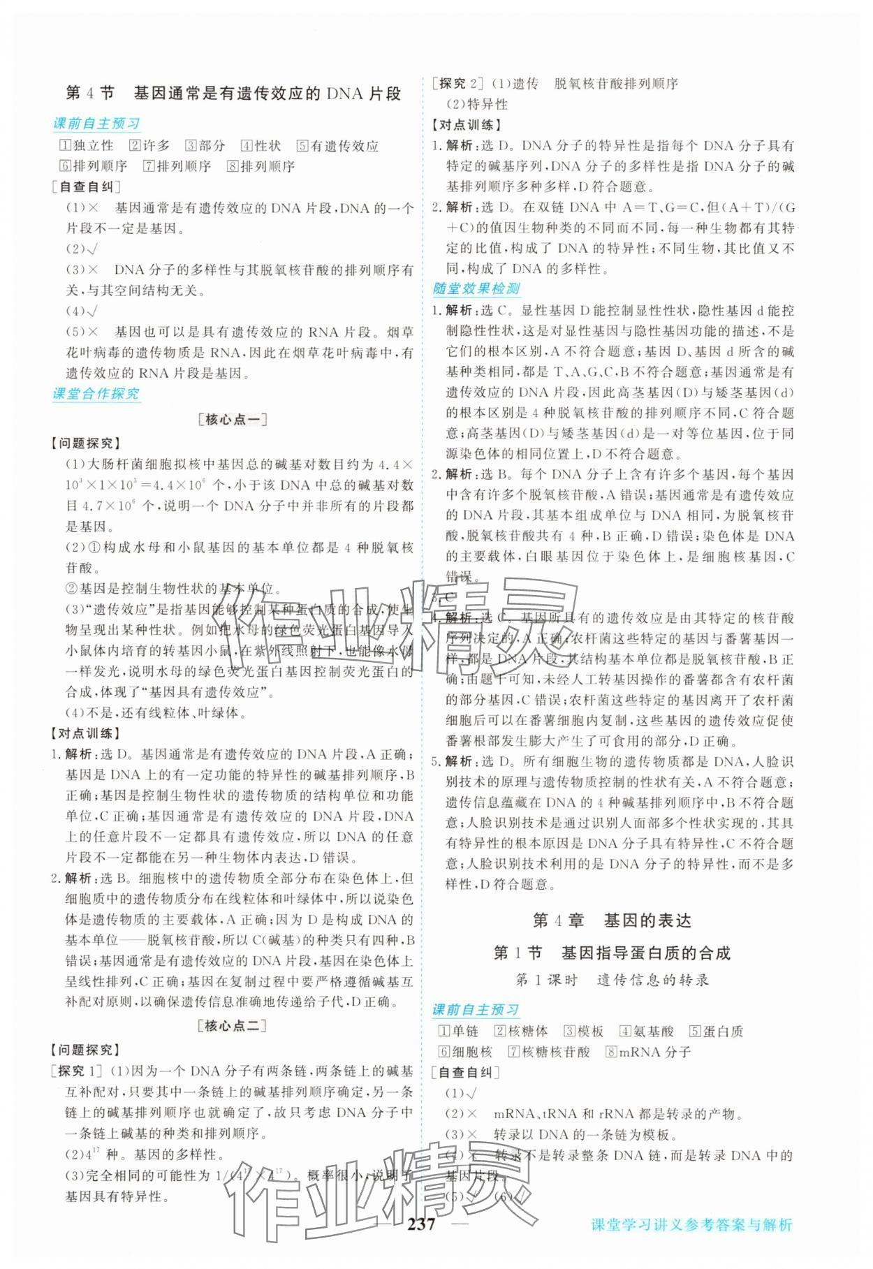 2025年新坐標(biāo)同步練習(xí)高中生物必修2人教版 參考答案第16頁