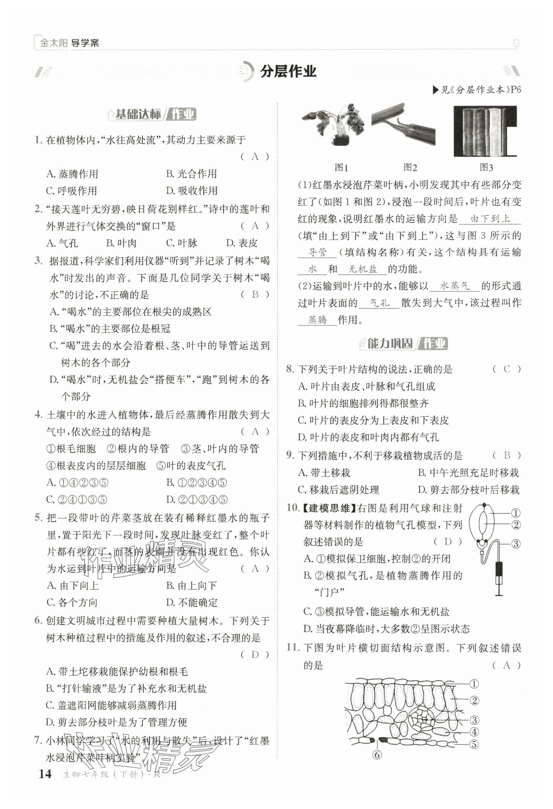 2025年金太陽導學案七年級生物下冊人教版 參考答案第14頁