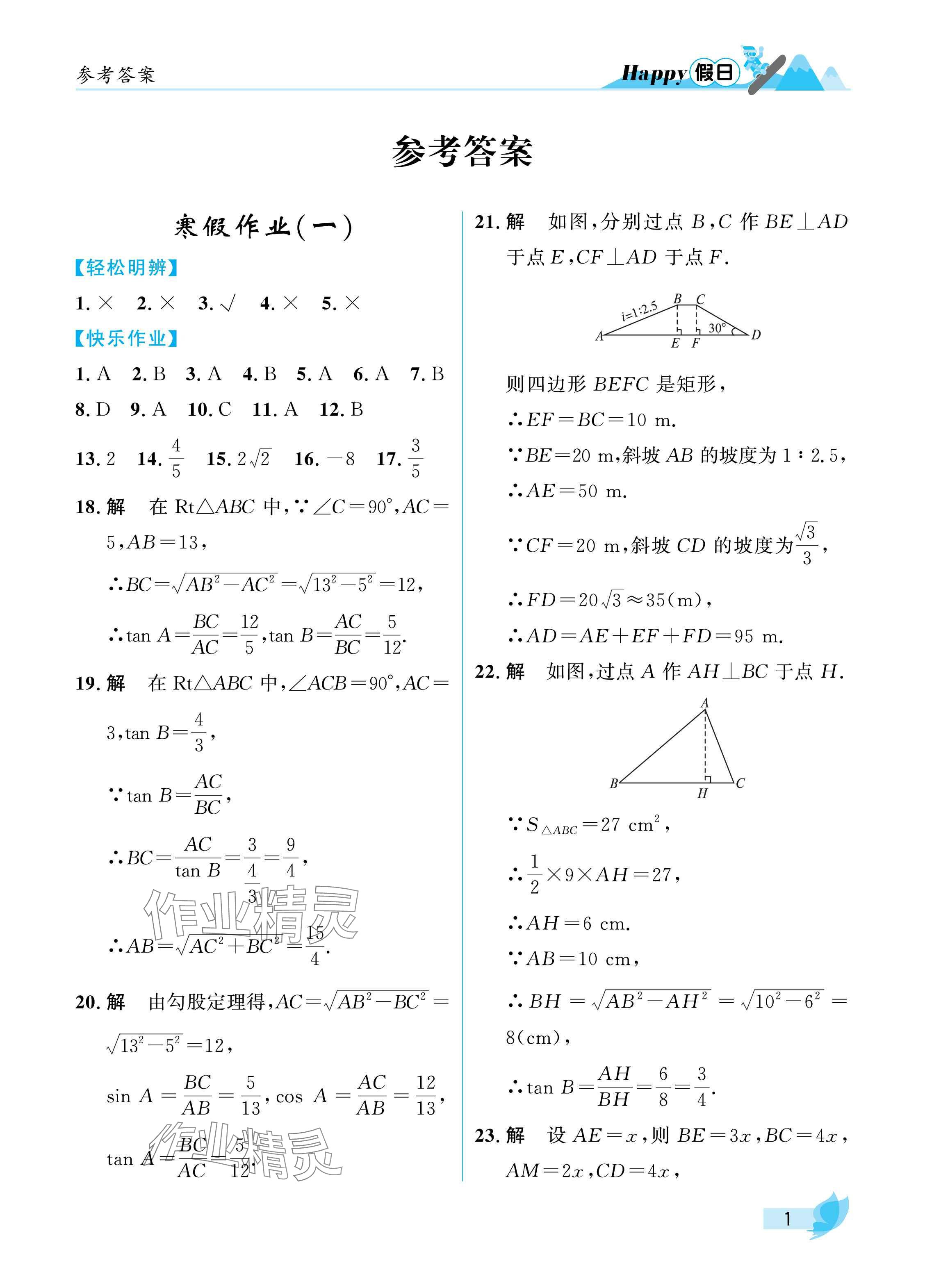 2025年寒假Happy假日九年级数学通用版 参考答案第1页