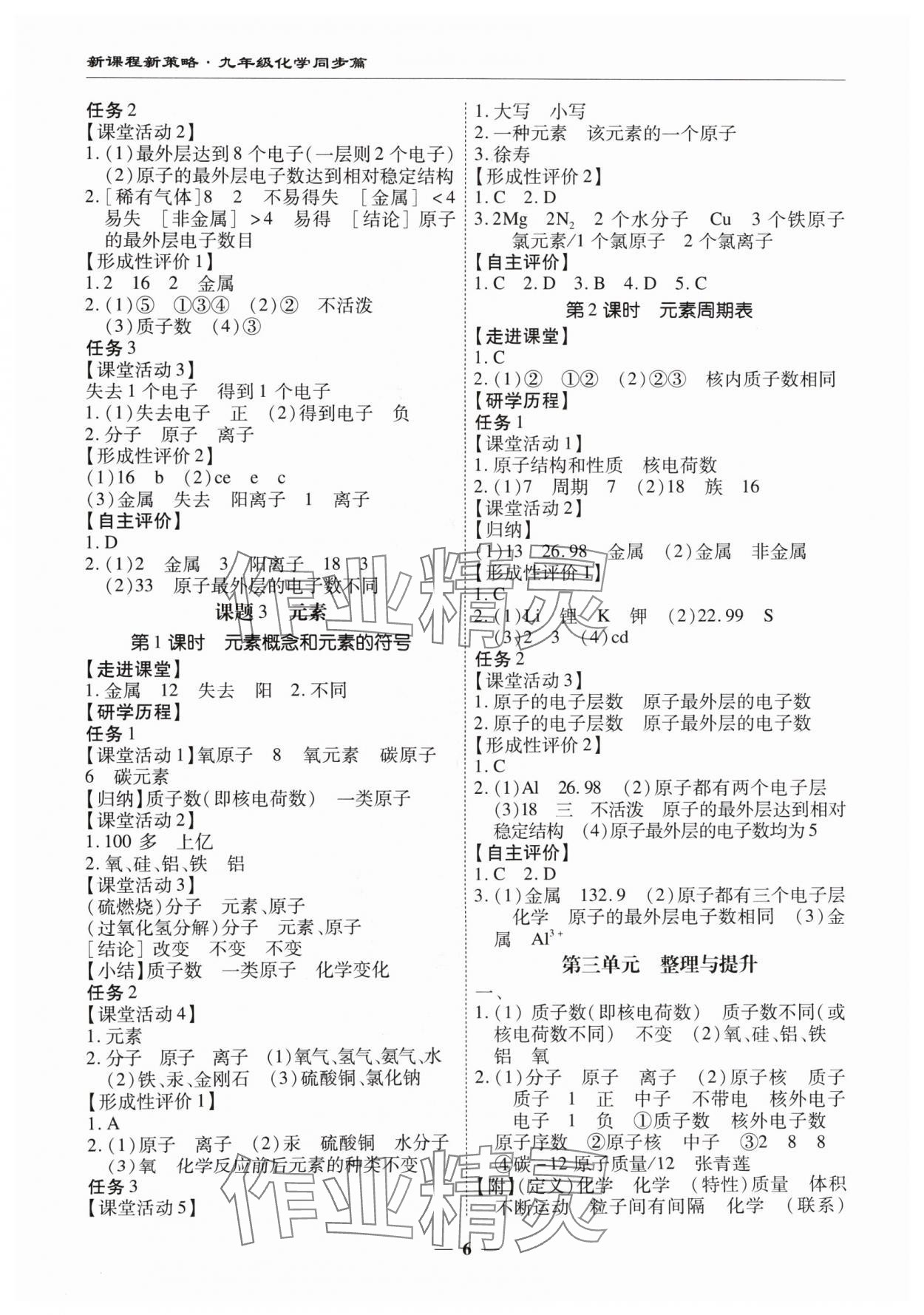 2024年新课程新策略复习篇九年级化学&nbsp;第6页
