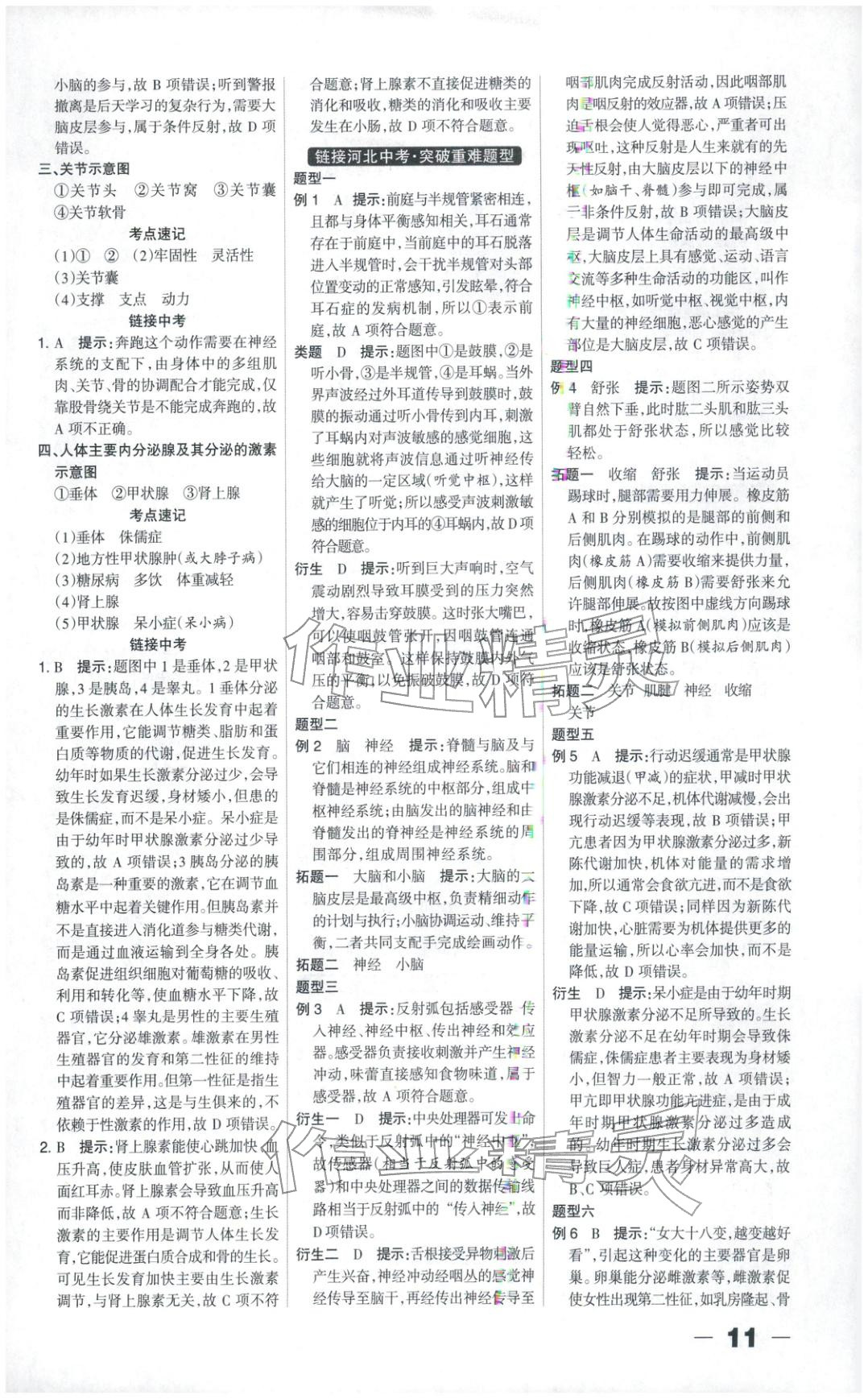 2026年中教万联中考总动员八年级生物河北专版&nbsp;第11页