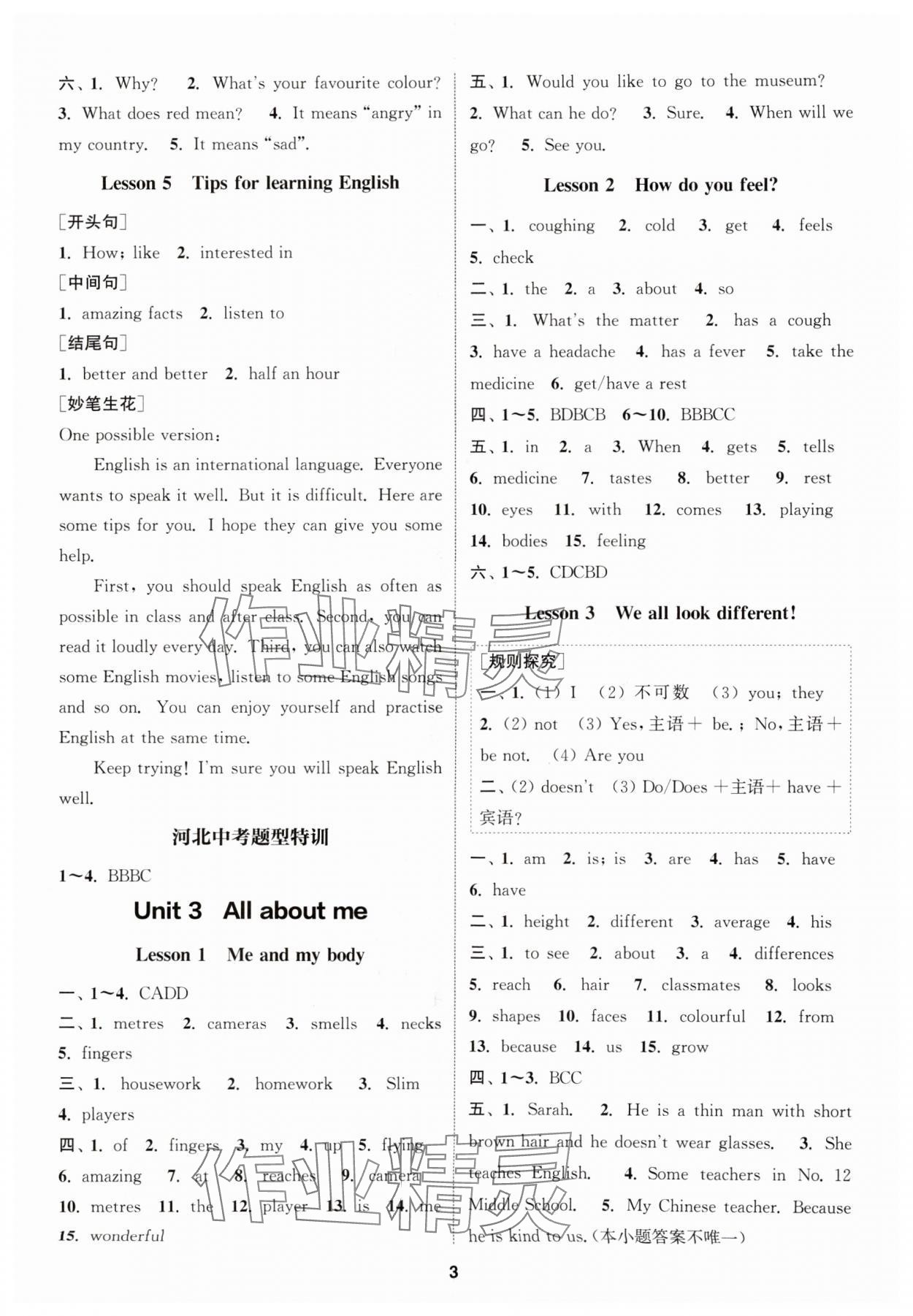 2025年通城学典课时作业本七年级英语上册冀教版河北专版 第3页