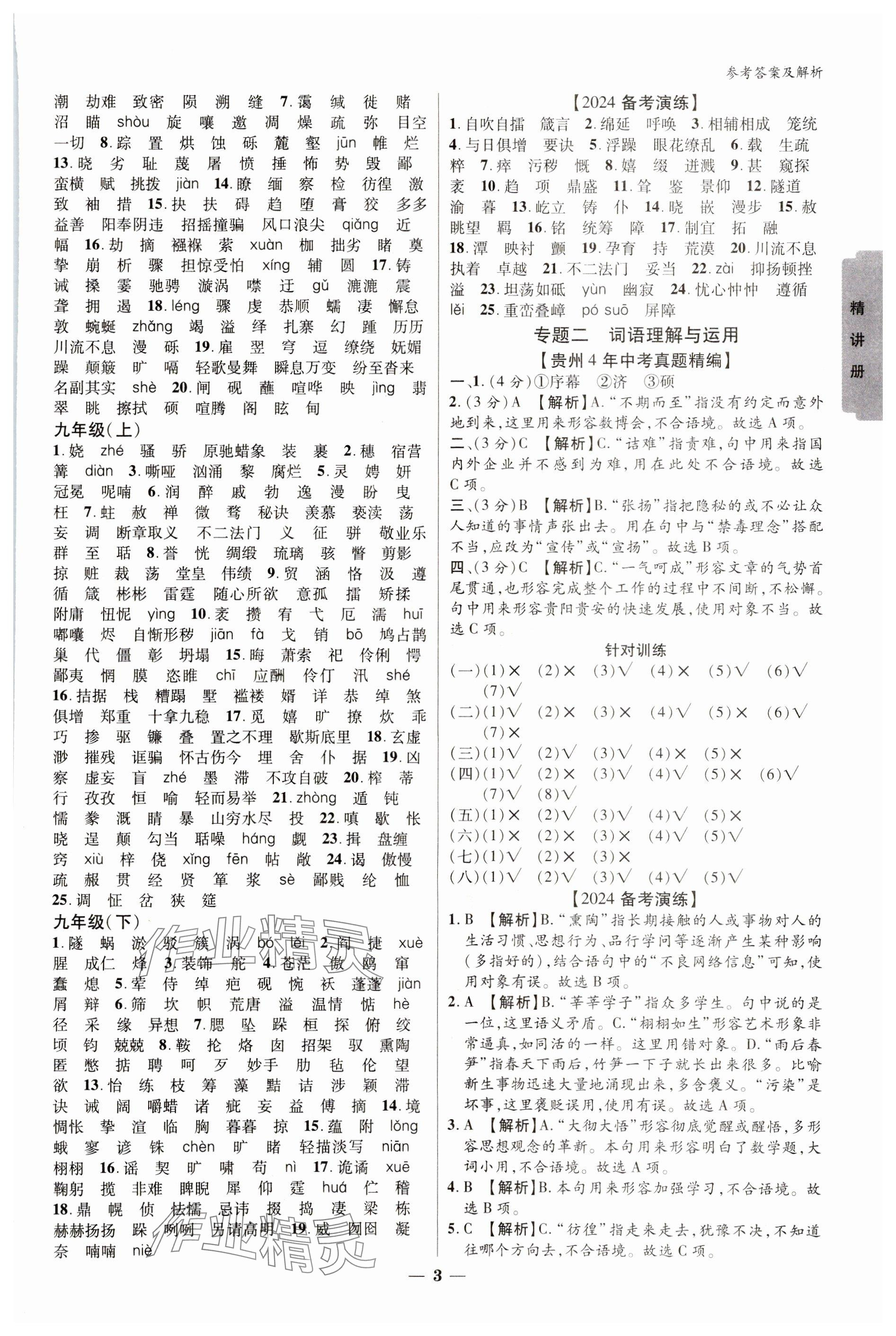 2024年练客新中考新思路语文贵州专版 参考答案第2页