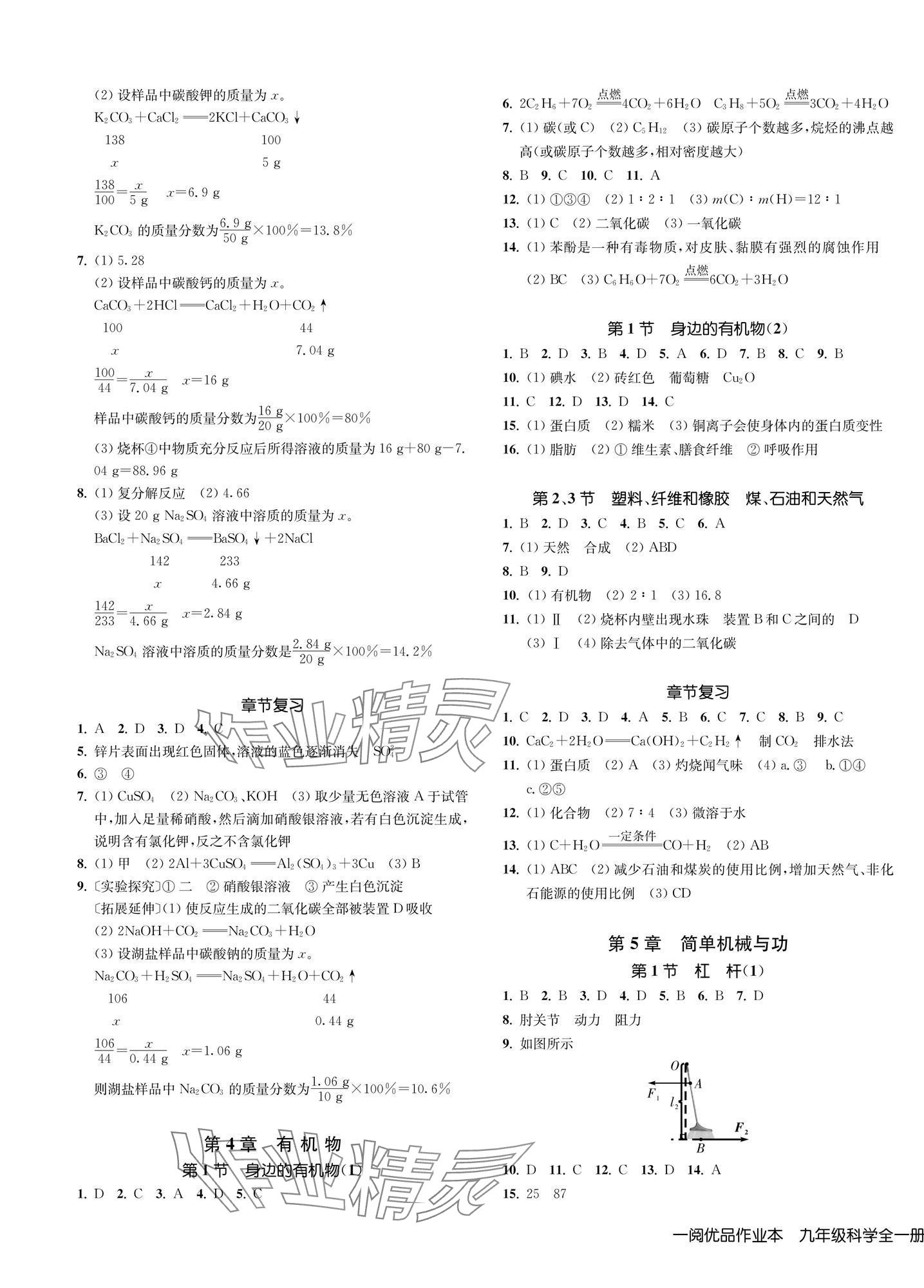 2025年一阅优品作业本九年级科学全一册华师大版 第5页