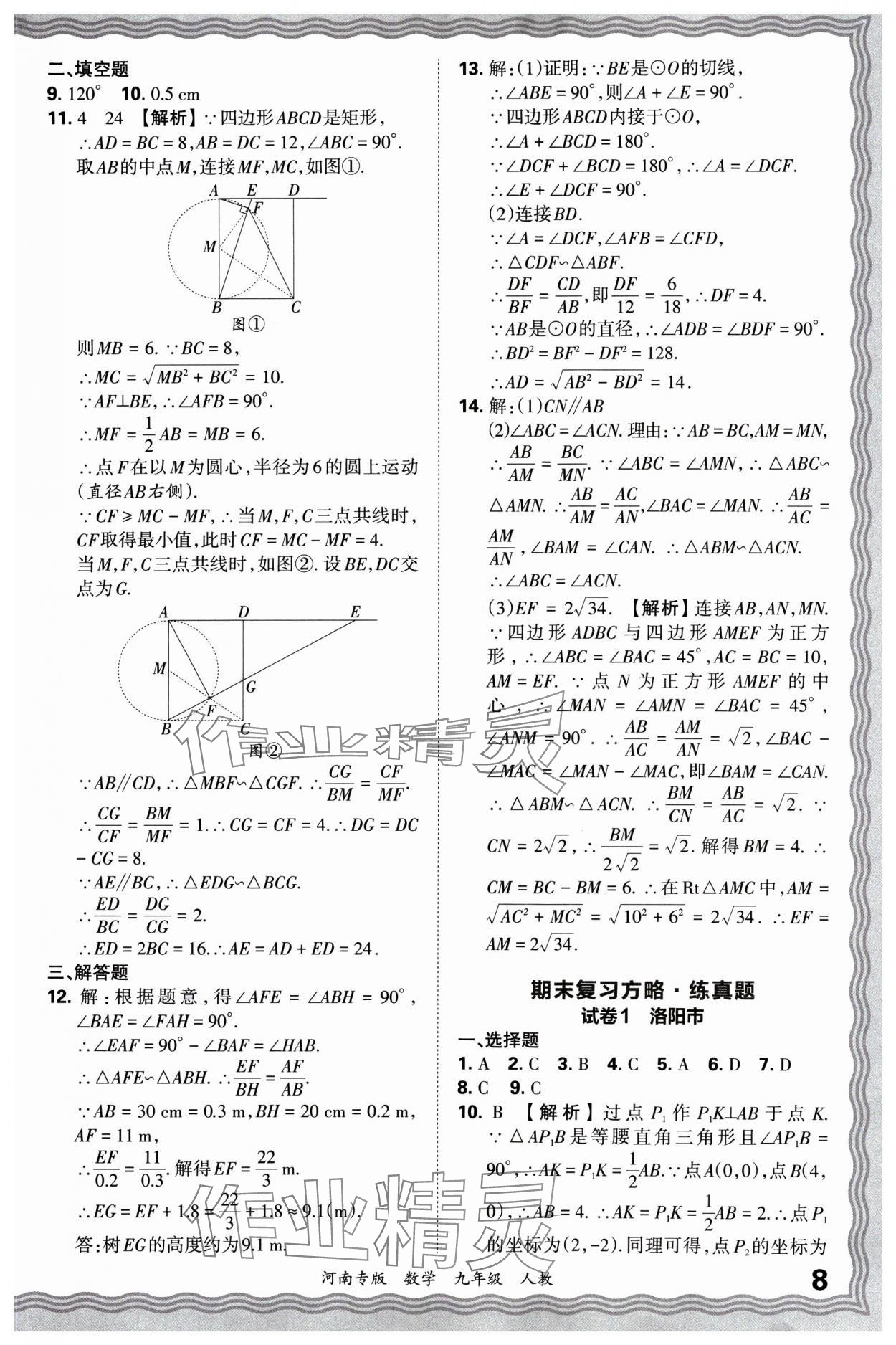 2024年王朝霞各地期末試卷精選九年級(jí)數(shù)學(xué)上冊(cè)人教版河南專(zhuān)版 參考答案第8頁(yè)