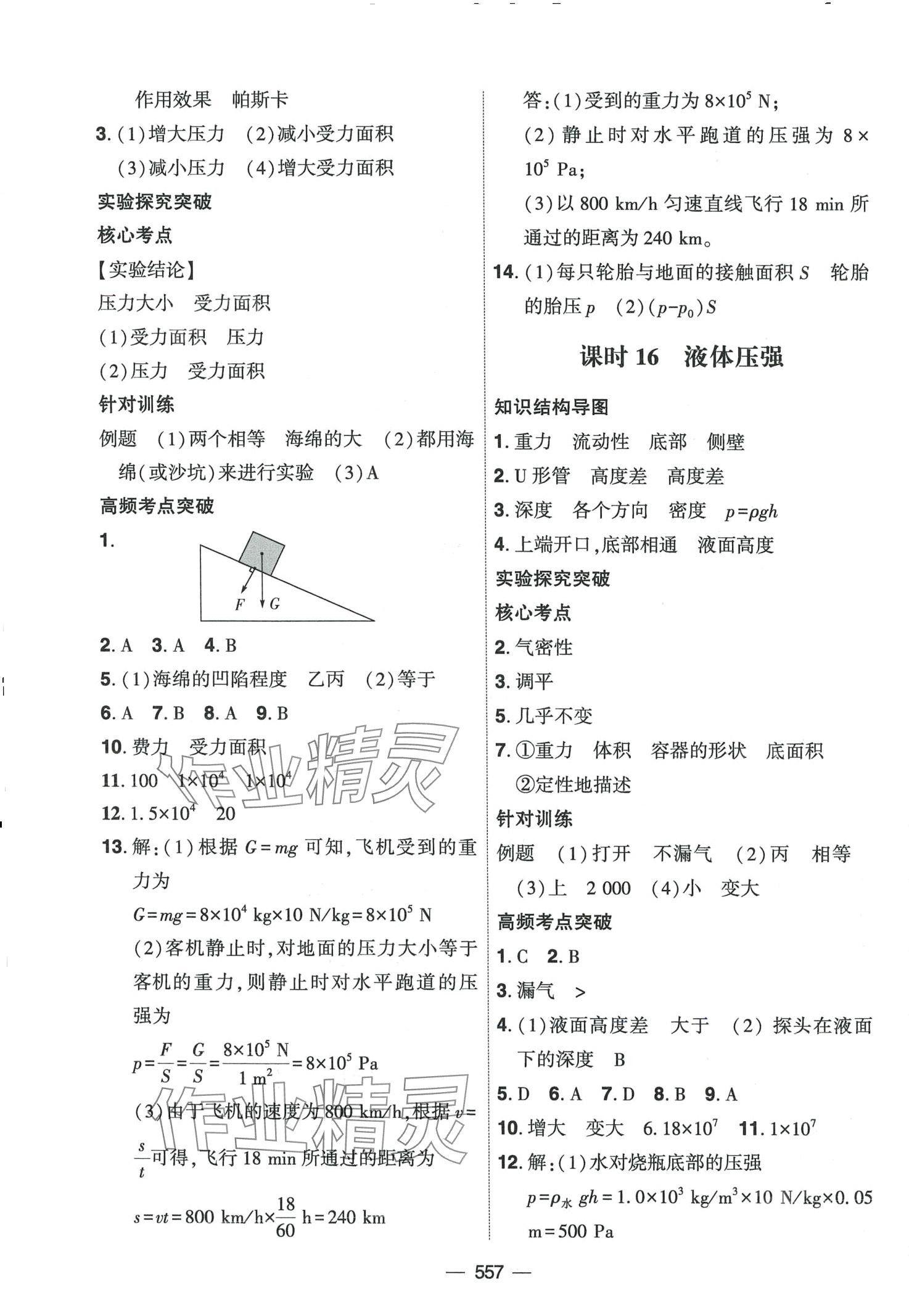 2024年創(chuàng)新A+中考總復(fù)習(xí)物理廣東專版 第12頁