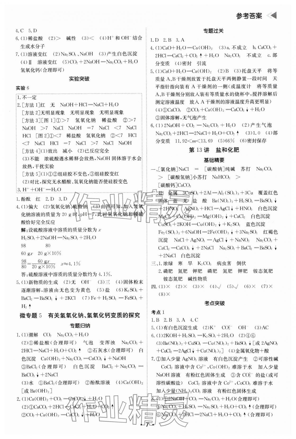 2025年百年學(xué)典中考復(fù)習(xí)指南化學(xué)廣東專版 參考答案第7頁(yè)