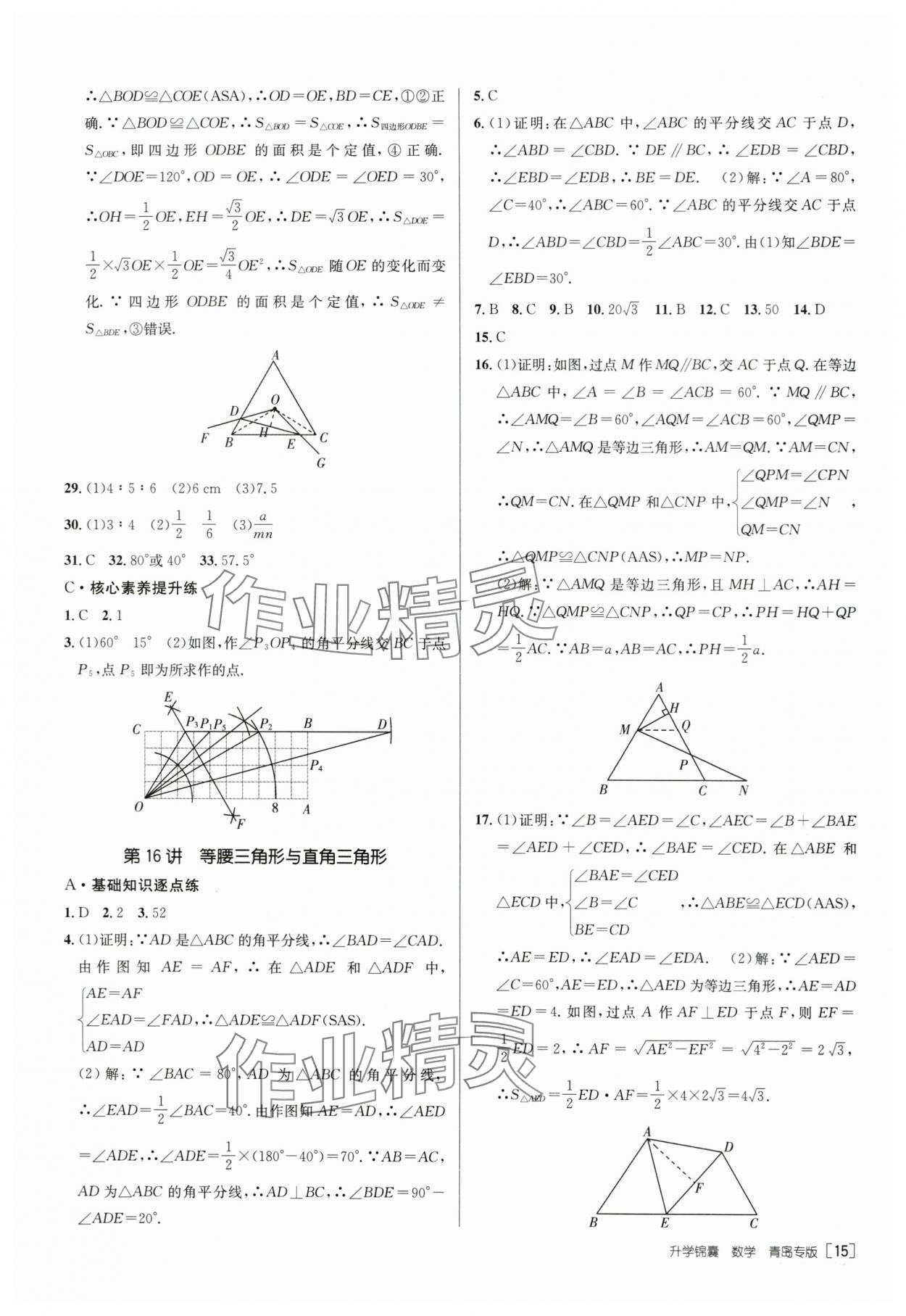 2024年升學(xué)錦囊數(shù)學(xué)青島專(zhuān)版 第17頁(yè)