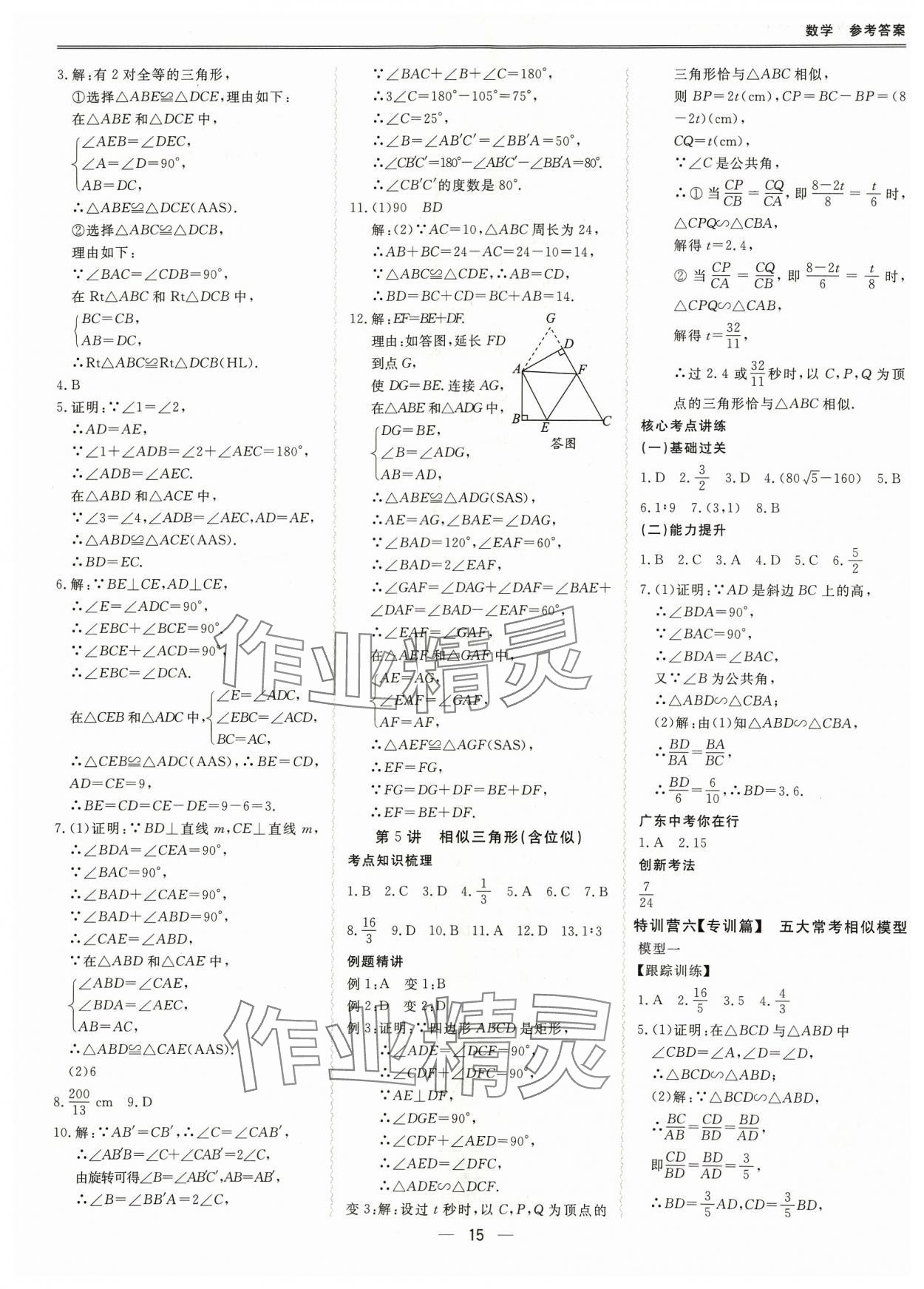 2024年新课标中考宝典数学广东专版 参考答案第15页