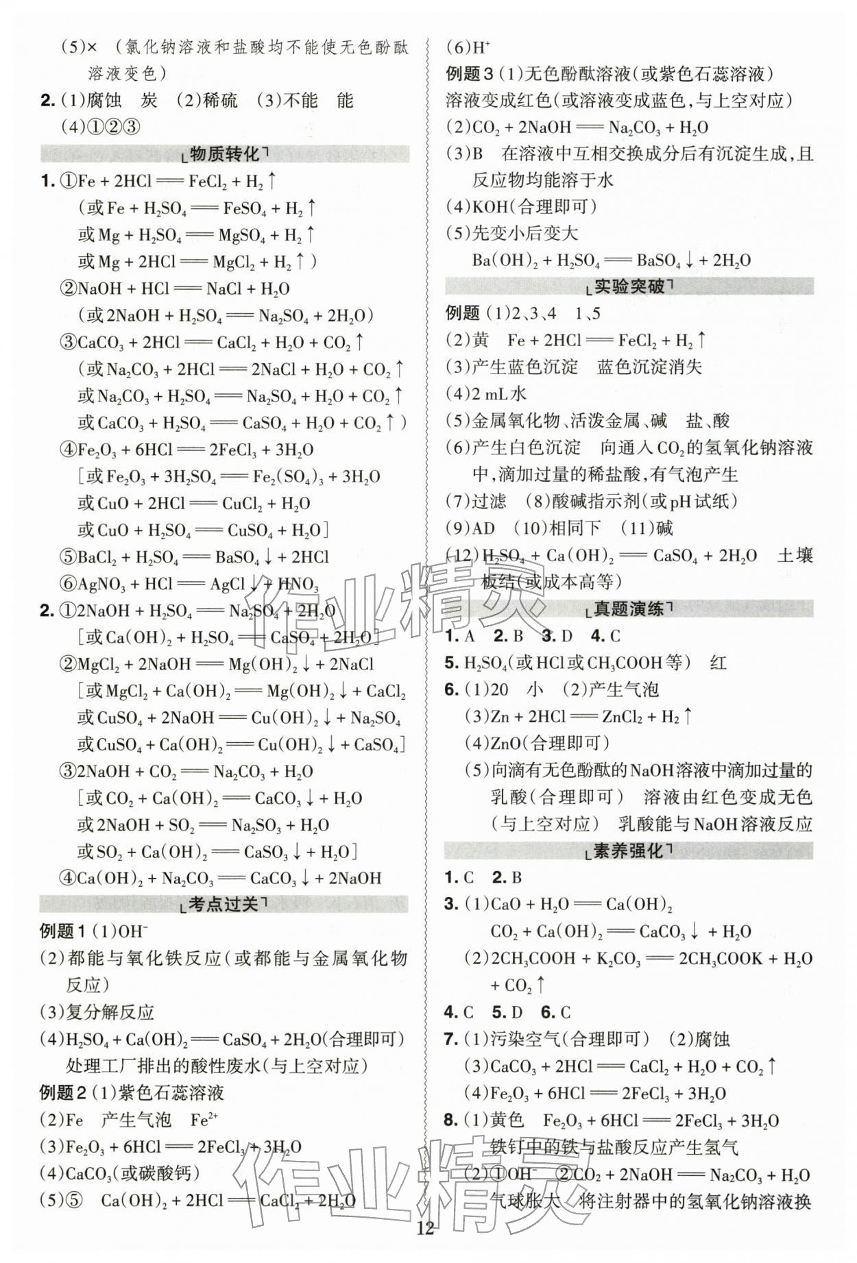 2026年中考冲刺化学广东专版&nbsp;第12页
