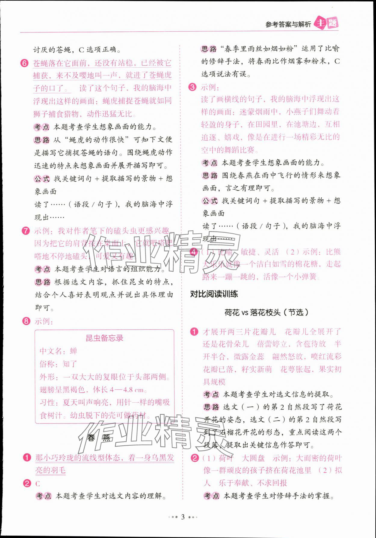 2024年主題閱讀訓練100分三年級語文下冊人教版浙江專版 參考答案第3頁