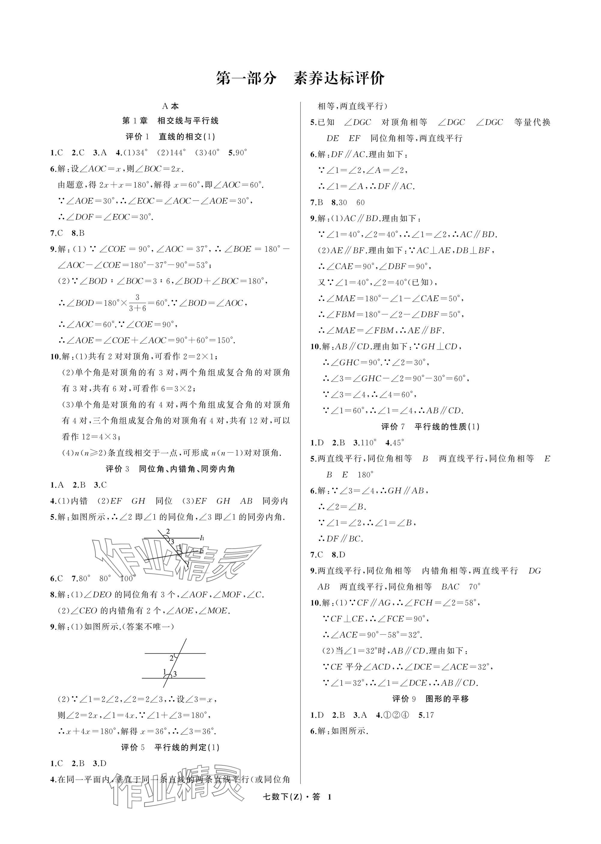 2025年名師面對面學科素養評價七年級數學下冊浙教版 參考答案第1頁