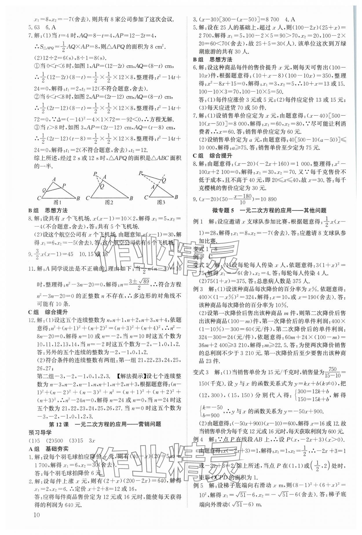 2023年多维导学案九年级数学全一册北师大版 参考答案第10页