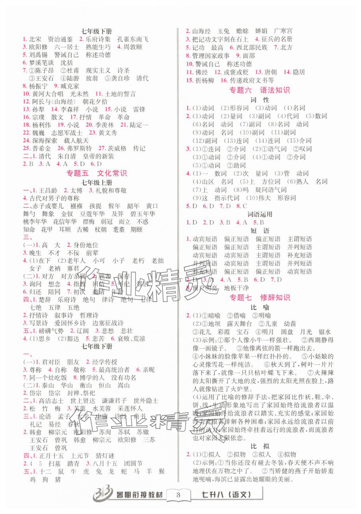 2025年暑期銜接教材七年級語文 第3頁