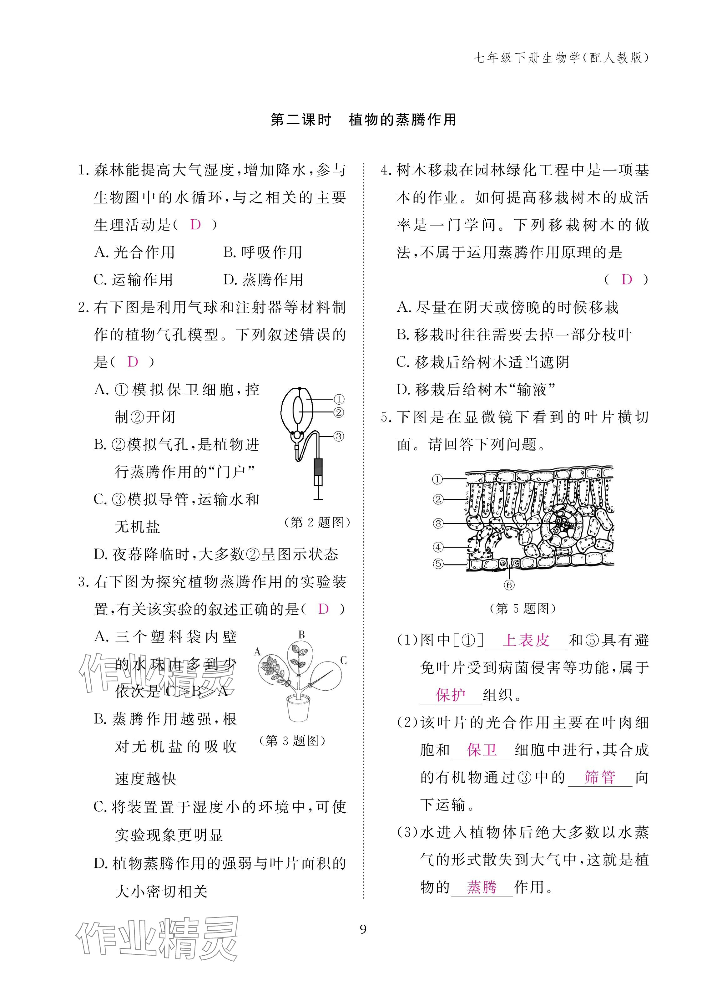 2025年作業本江西教育出版社七年級生物下冊人教版&nbsp;參考答案第9頁