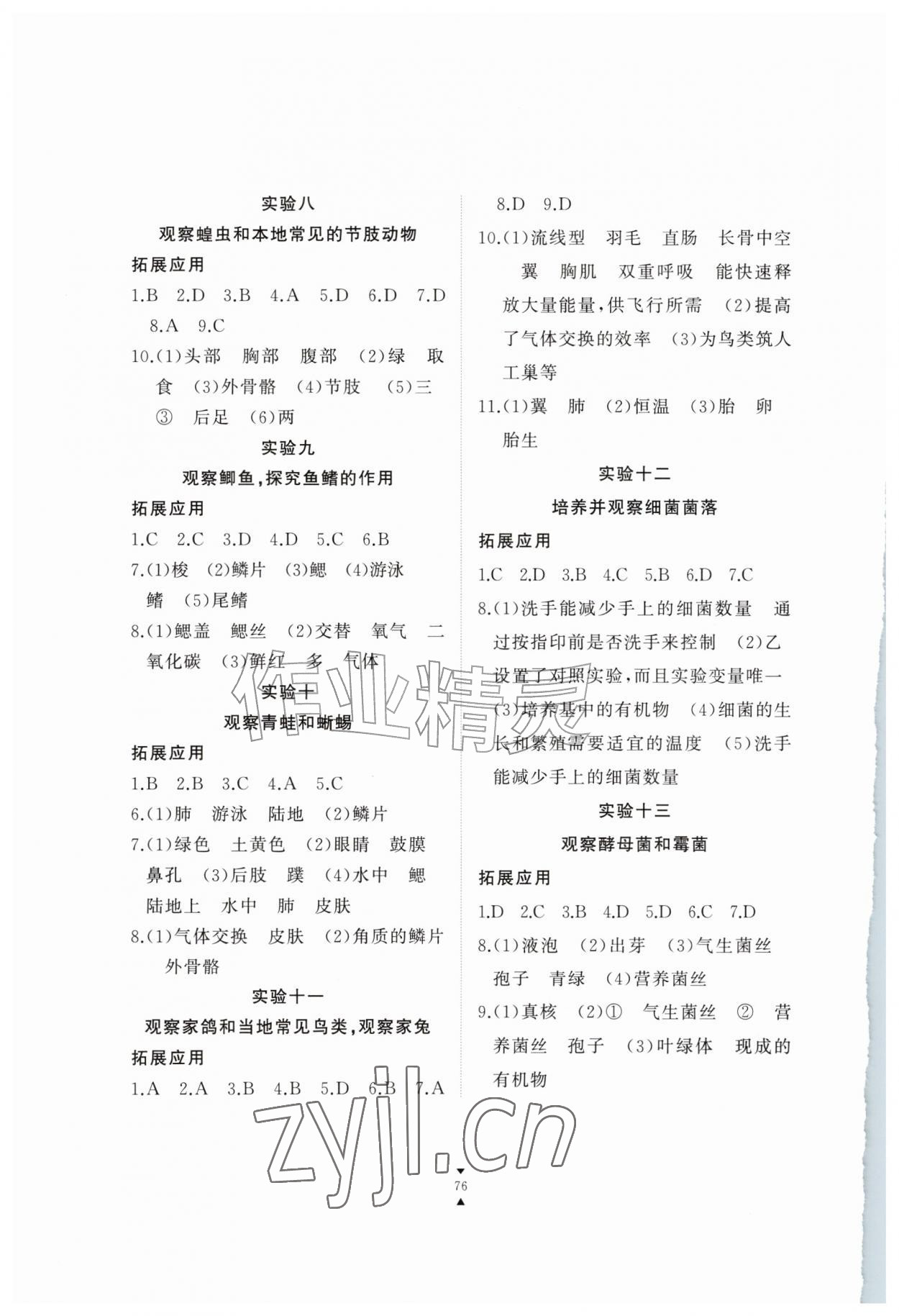 2026年实验报告册江西教育出版社七年级生物上册冀少版&nbsp;第2页