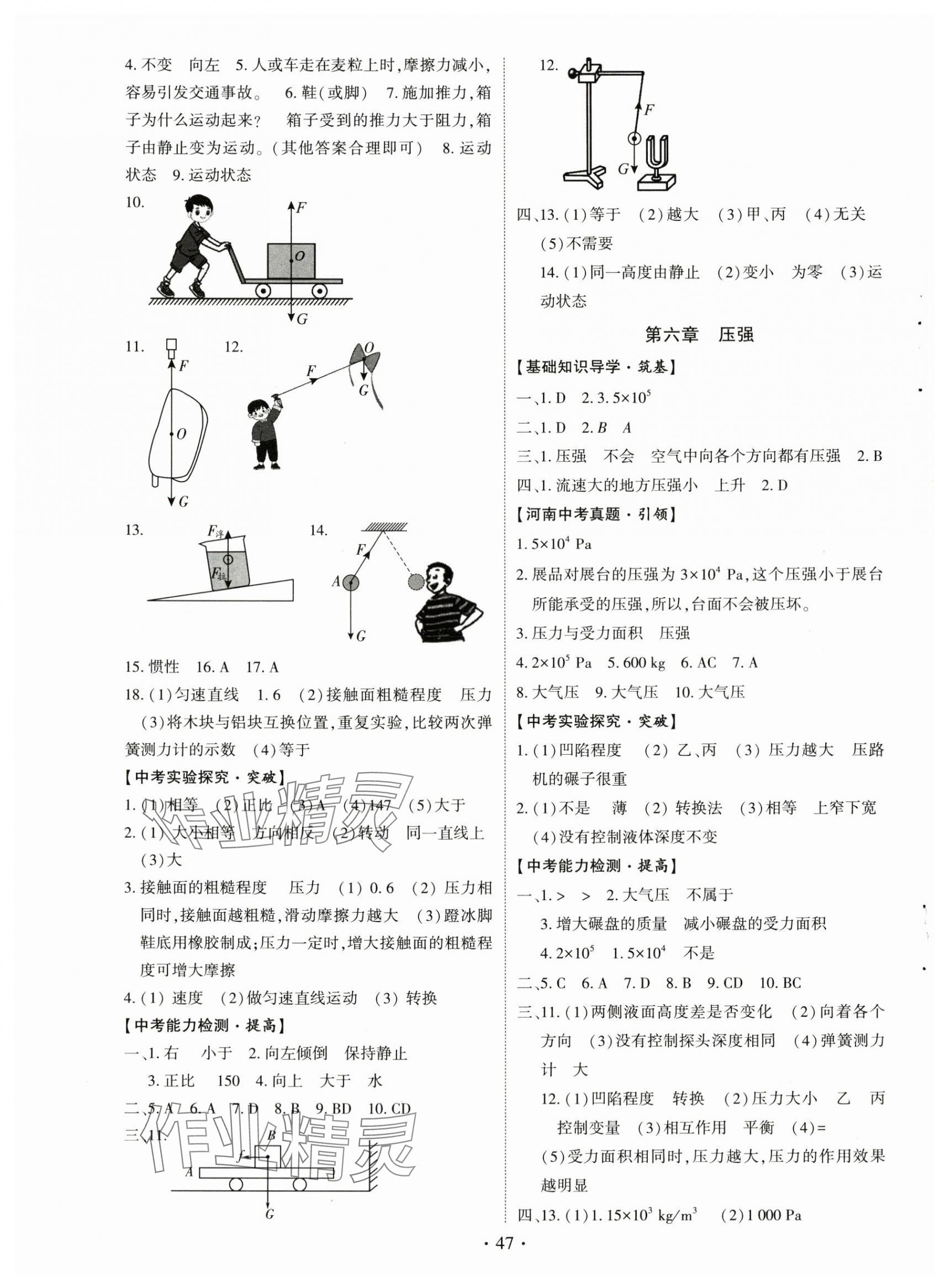 2024年初中學業(yè)水平考試復習指導物理河南專版 第3頁
