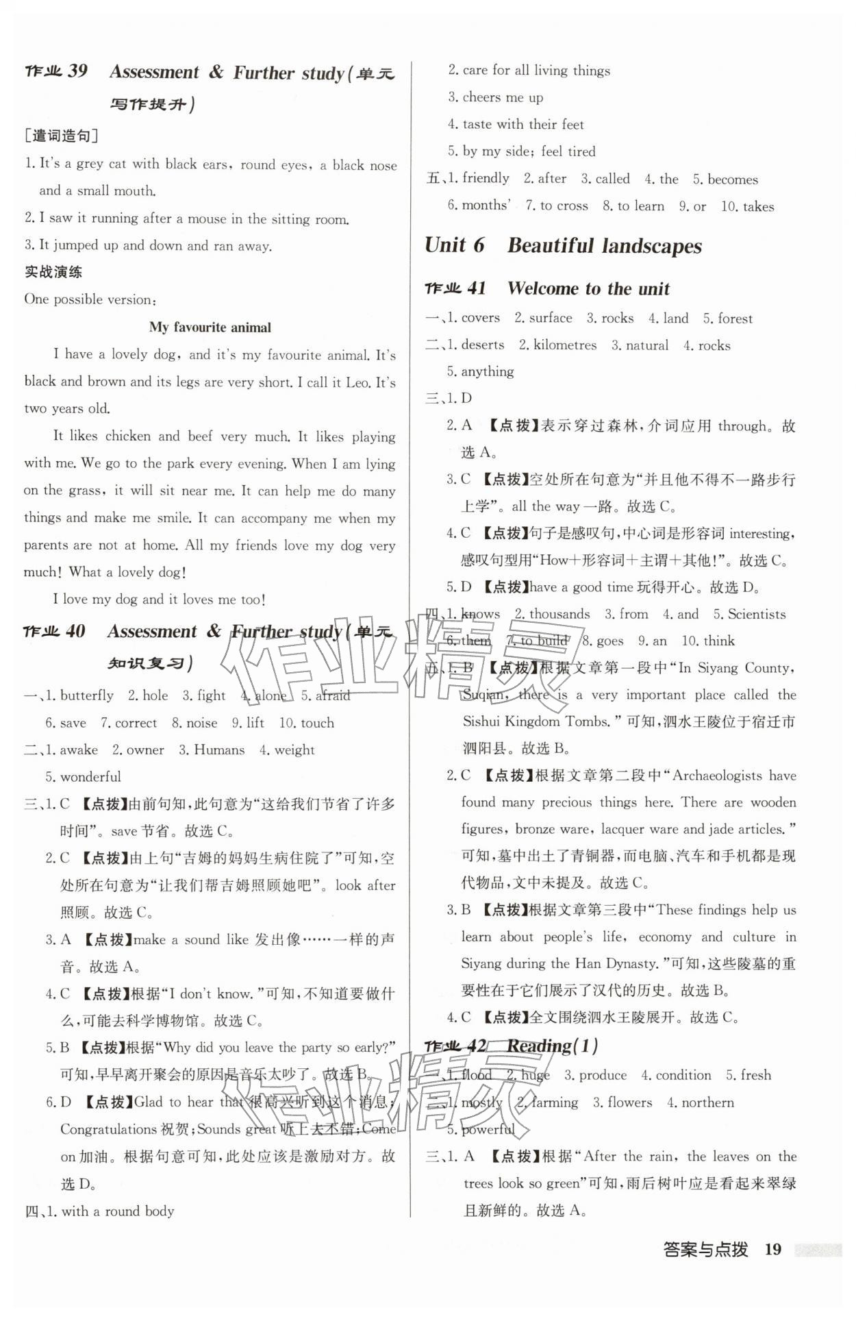 2026年启东中学作业本七年级英语下册译林版宿迁适用&nbsp;第19页