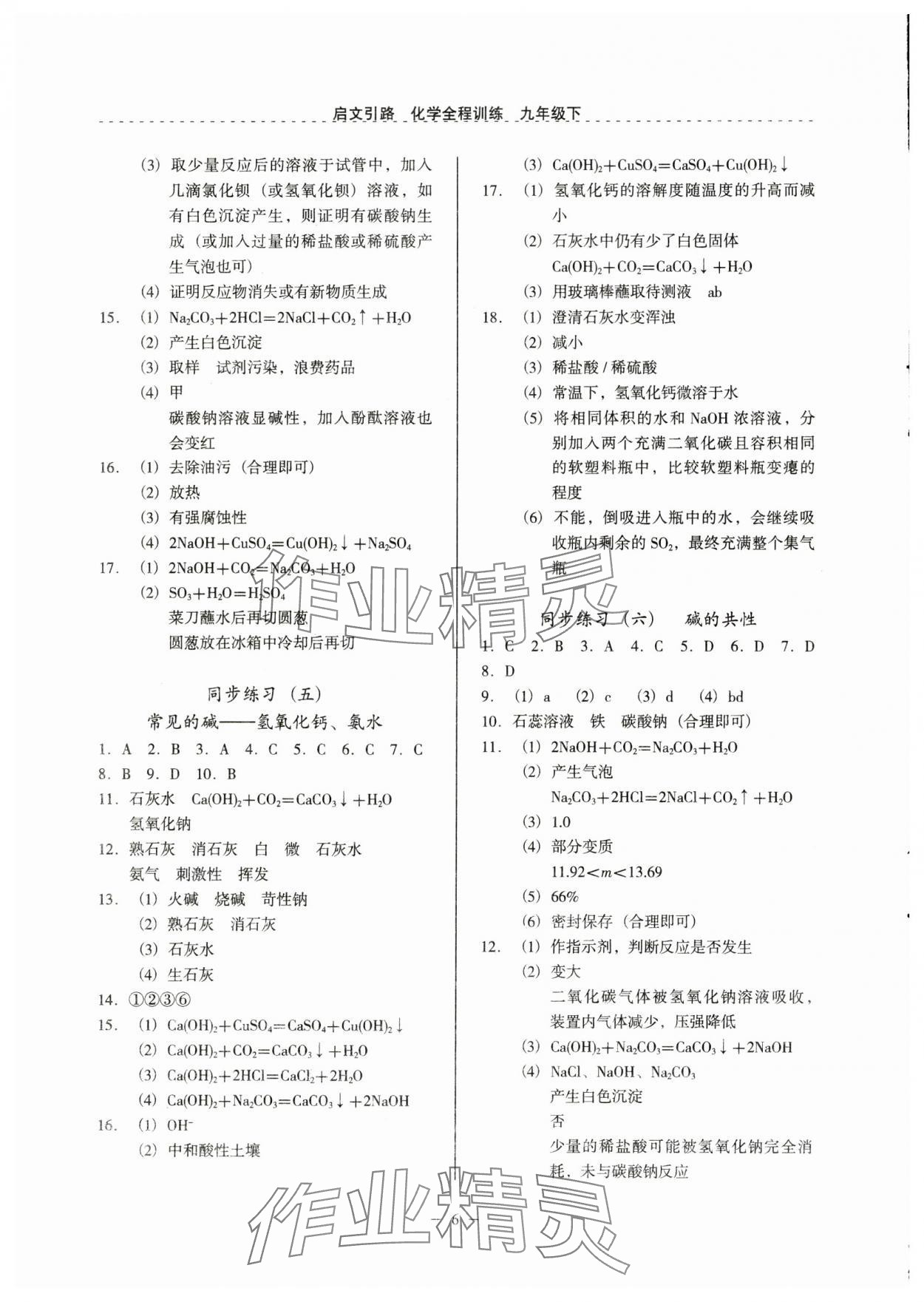 2025年啟文引路九年級(jí)化學(xué)下冊(cè)滬教版 參考答案第6頁(yè)