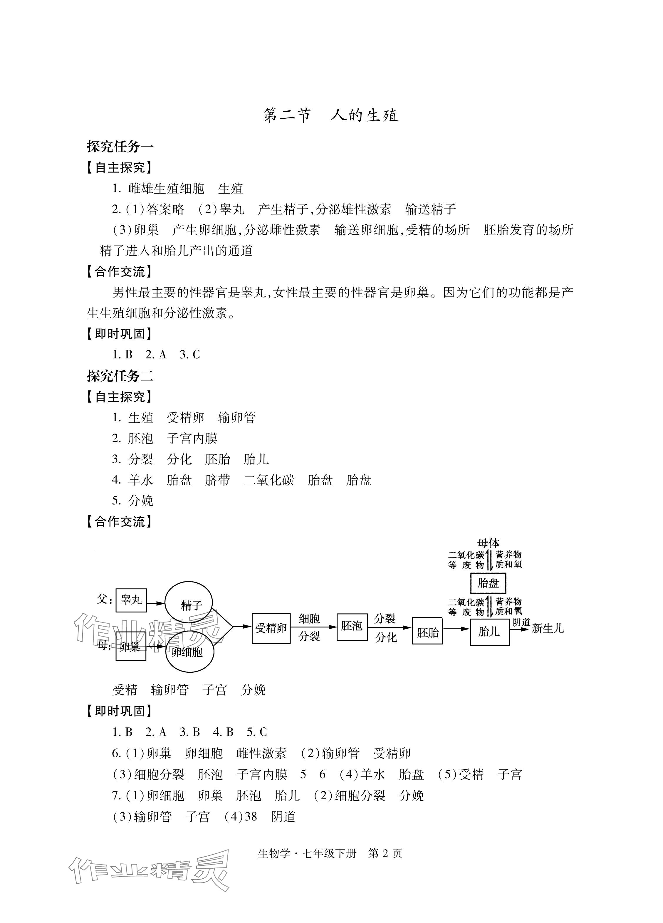 2024年自主學習指導課程與測試七年級生物下冊人教版 參考答案第2頁