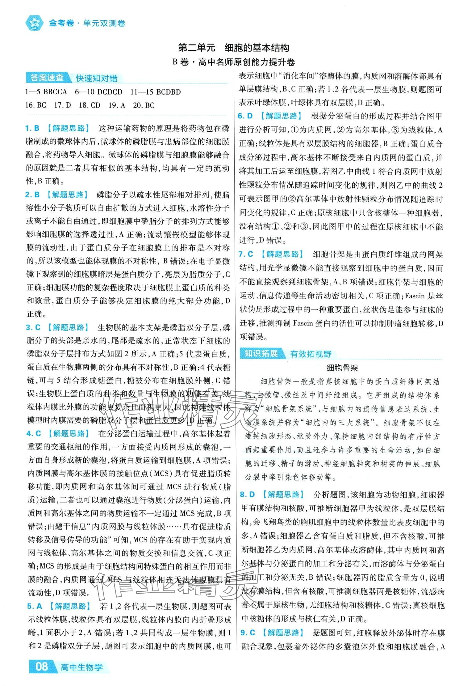 2024年金考卷活頁題選高中生物必修1人教版 參考答案第8頁