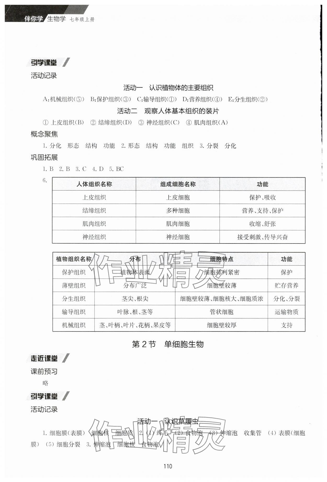 2024年伴你学七年级生物上册苏教版 参考答案第5页