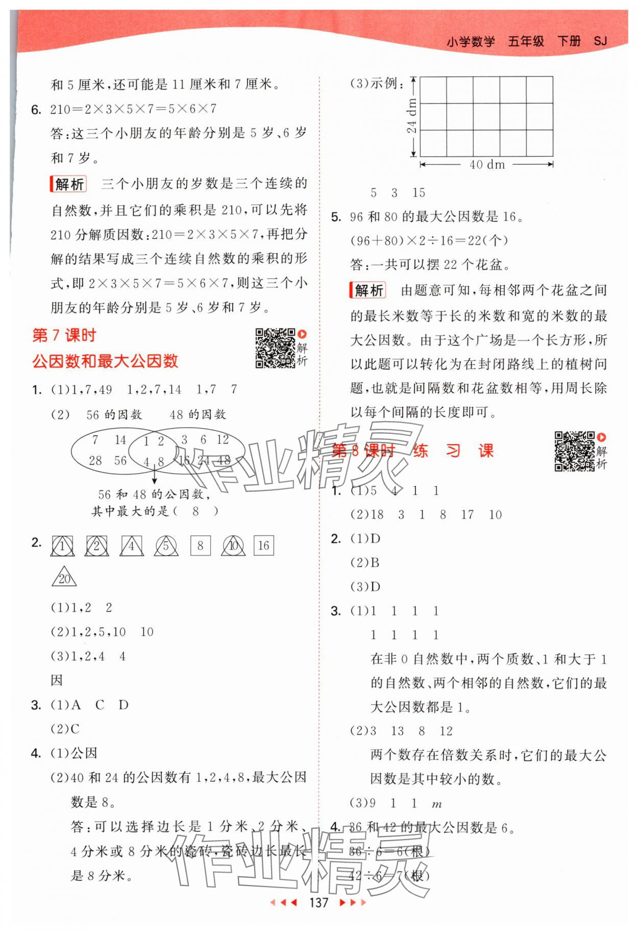 2024年53天天练五年级数学下册苏教版 第13页