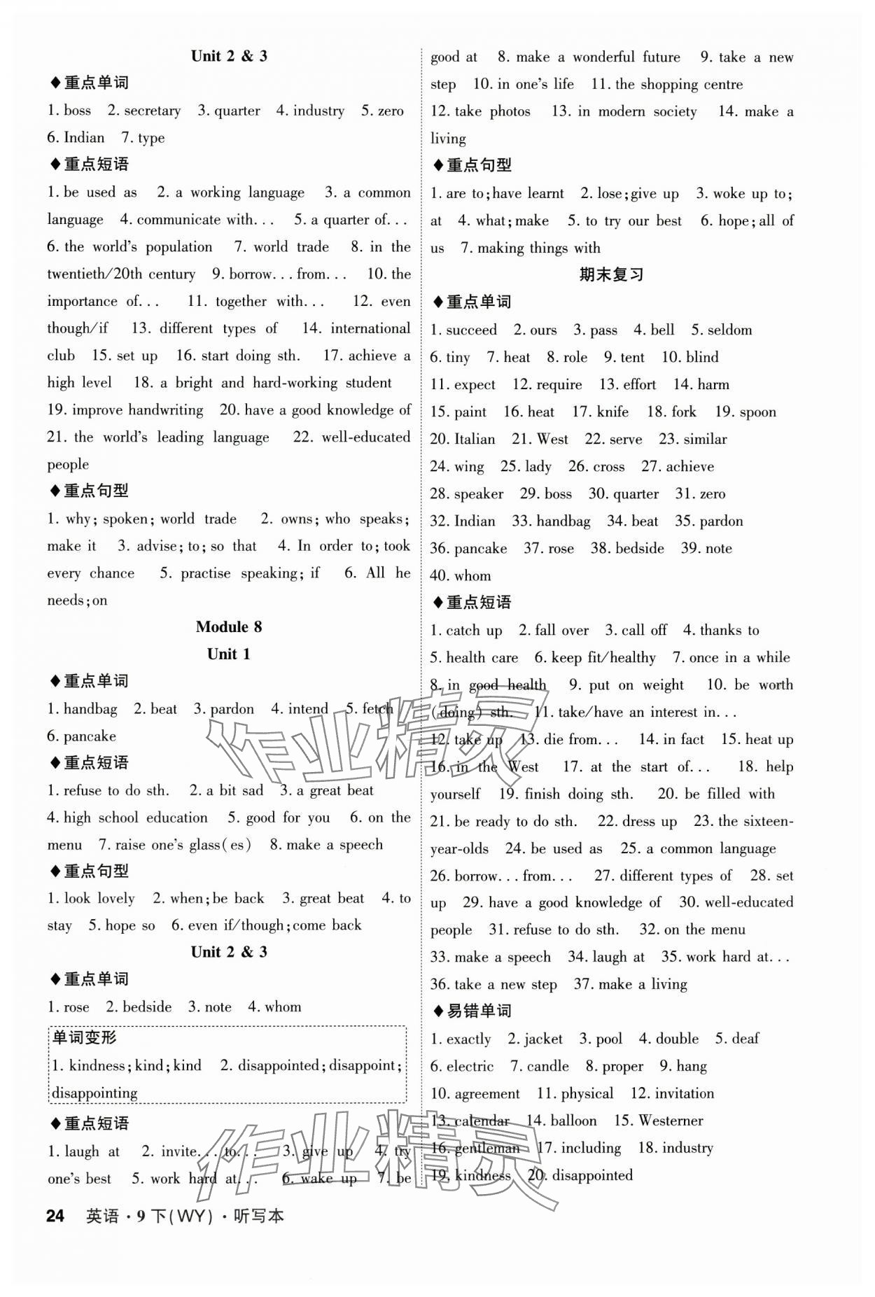 2025年課時(shí)A計(jì)劃九年級(jí)英語下冊(cè)外研版 第4頁