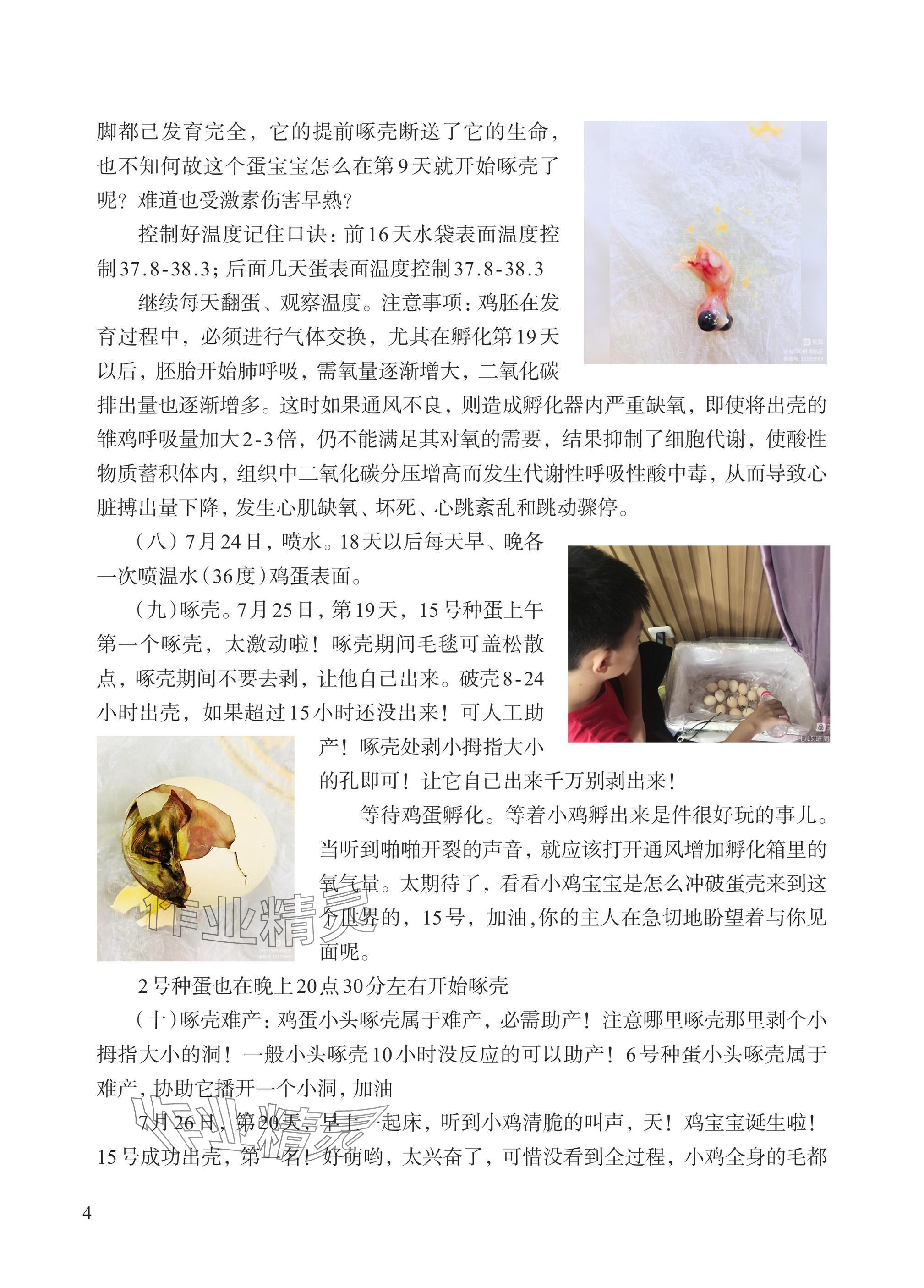 2024年小學(xué)單元素養(yǎng)作業(yè)五年級科學(xué)上冊教科版 參考答案第8頁