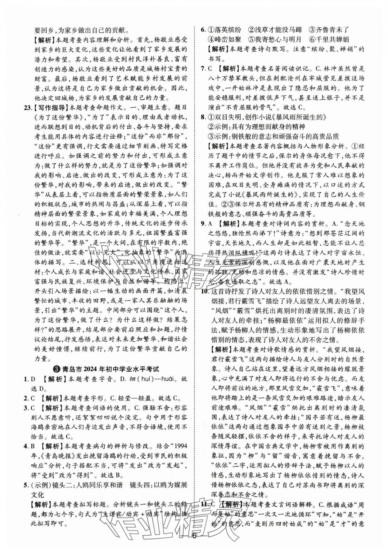 2025年鲁人泰斗中考必备中考试题汇编语文山东专版&nbsp;参考答案第6页