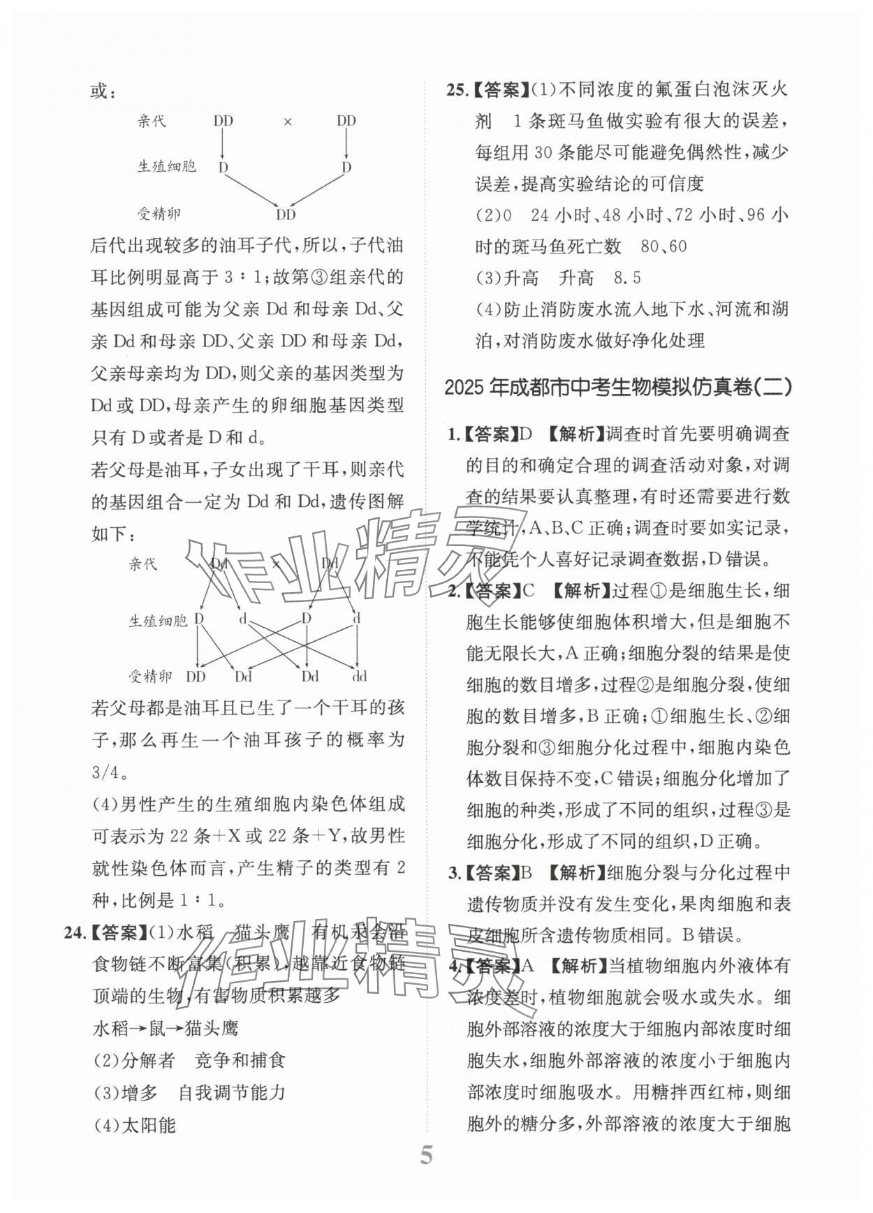 2025年金卷1號中考模擬仿真卷生物中考成都專版 第5頁