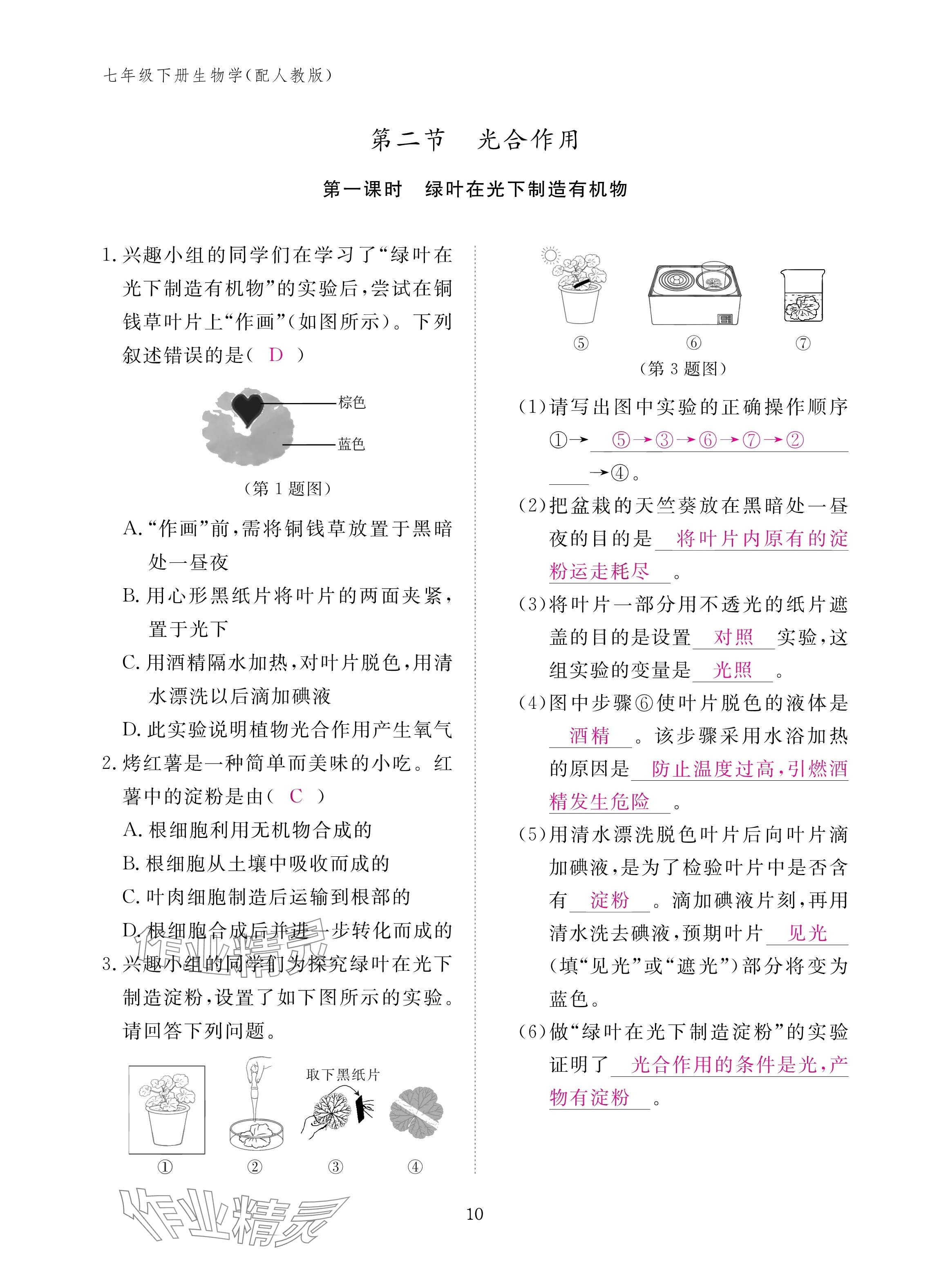 2025年作業(yè)本江西教育出版社七年級生物下冊人教版&nbsp;參考答案第10頁
