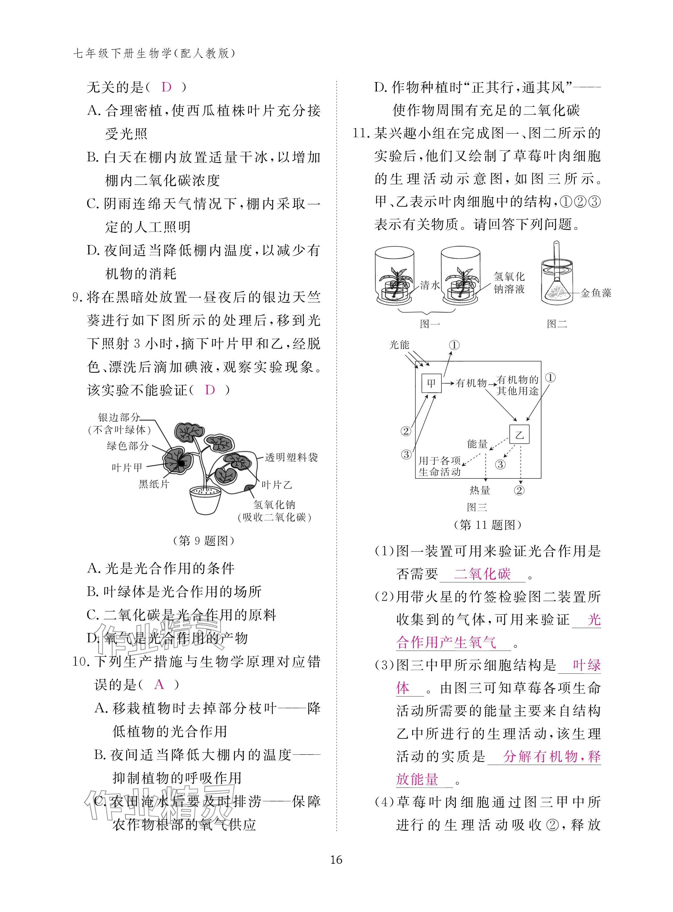 2025年作業本江西教育出版社七年級生物下冊人教版&nbsp;參考答案第16頁