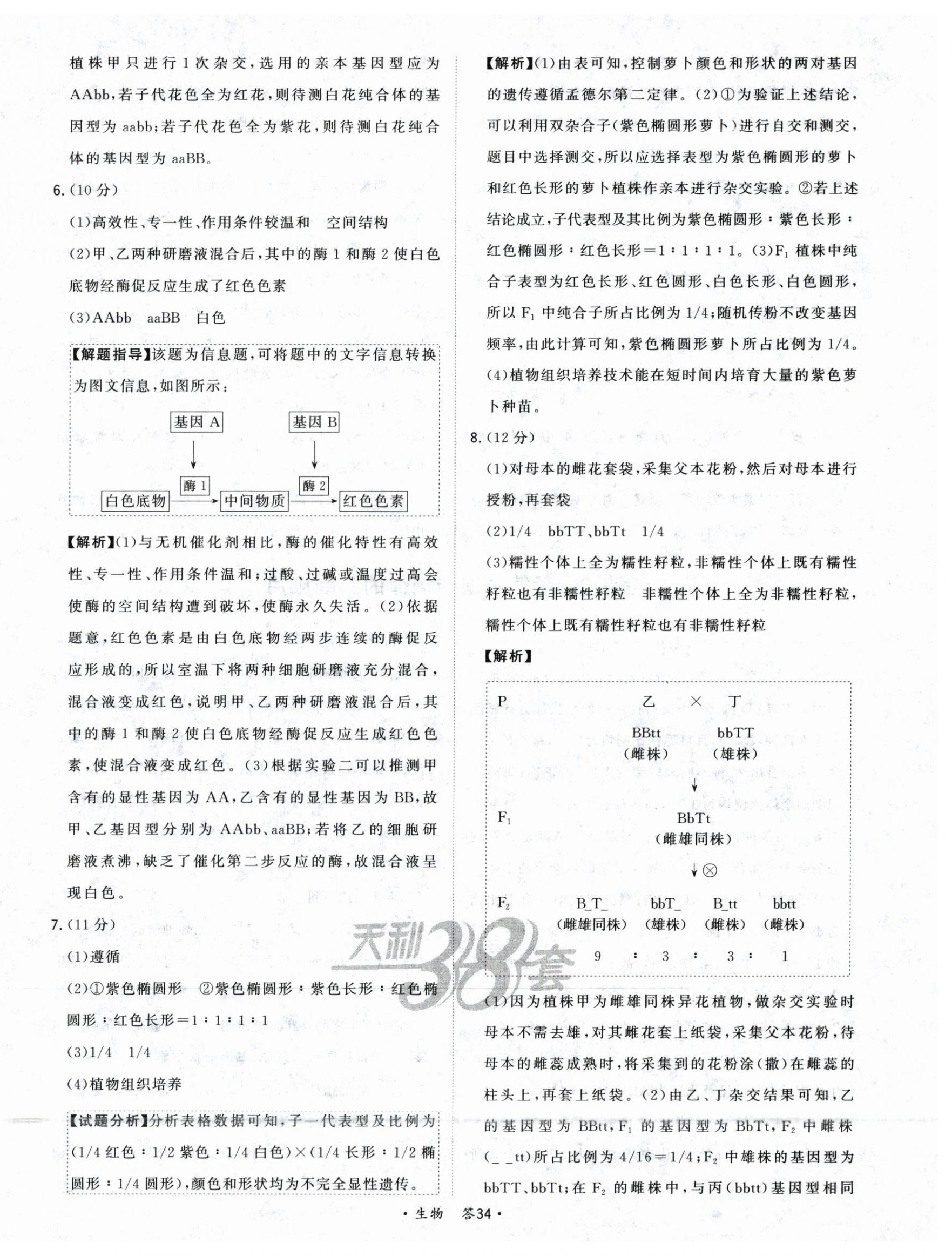 2025年五年高考真題分類高中生物 第36頁