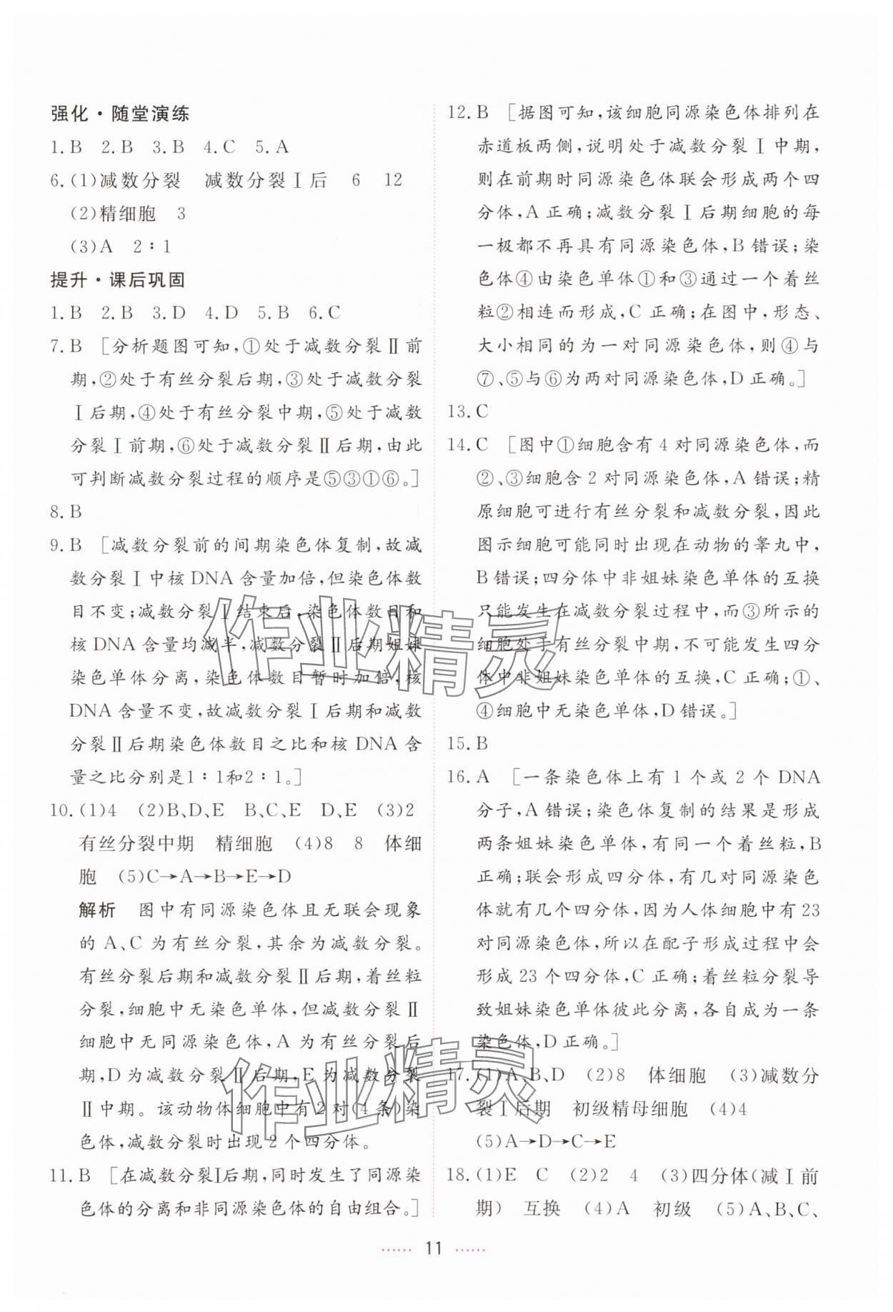 2024年三維隨堂精練高中生物必修2人教版 第11頁
