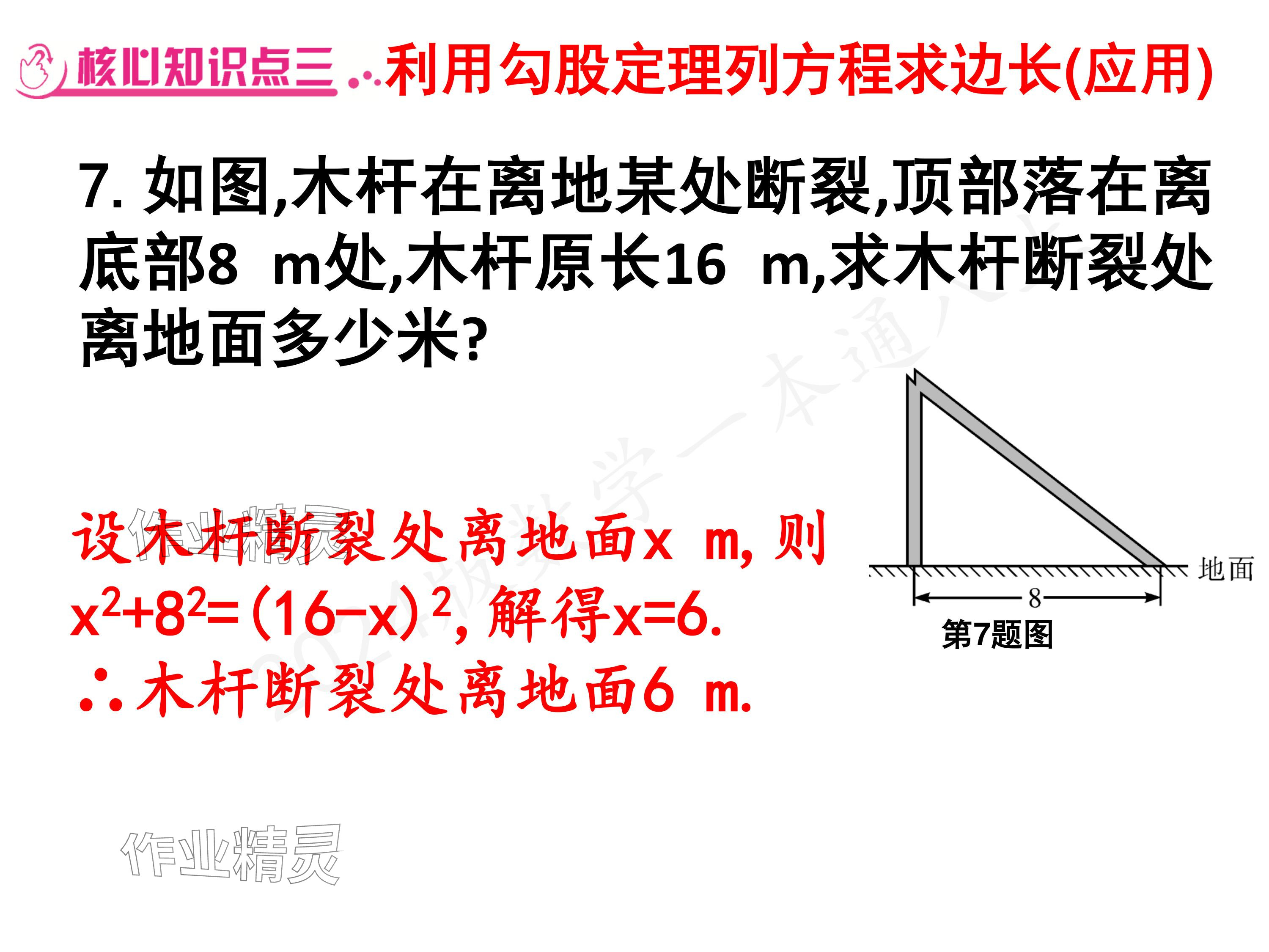 2024年一本通武漢出版社八年級數(shù)學(xué)上冊北師大版核心板 參考答案第6頁